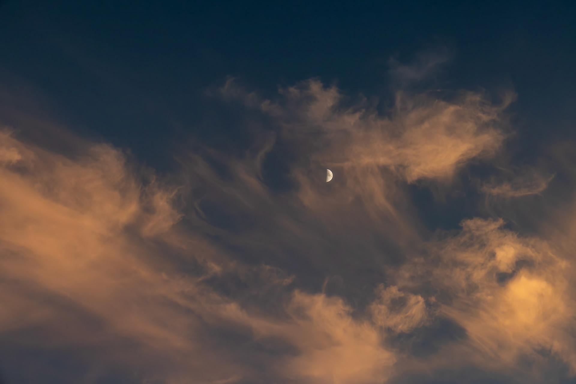 The Pads CG, Ryan CA