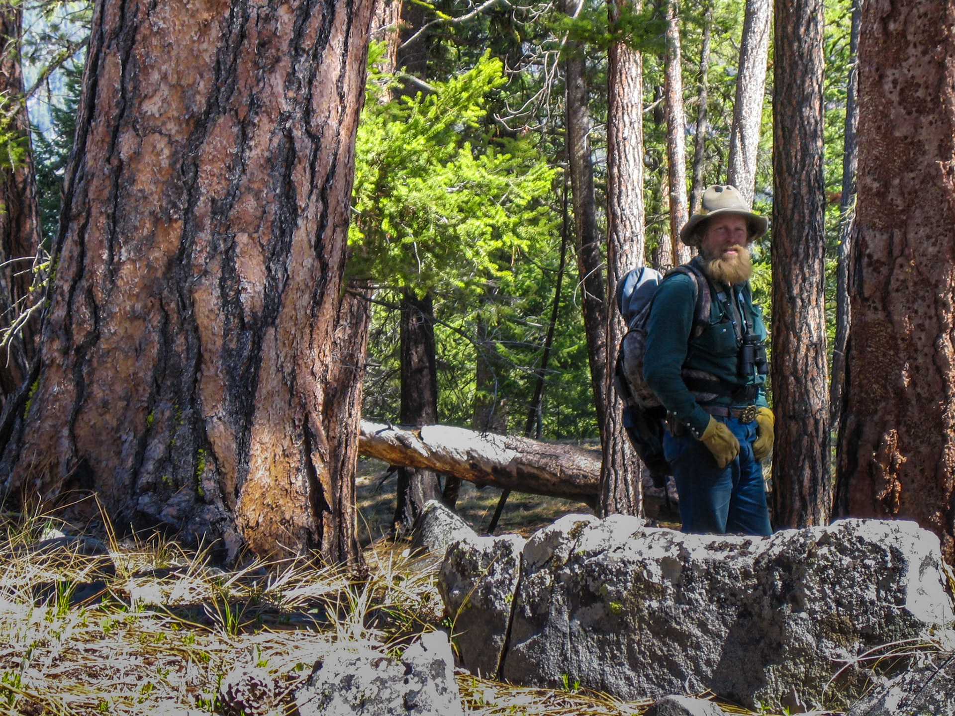 Chamberlain Basin ID