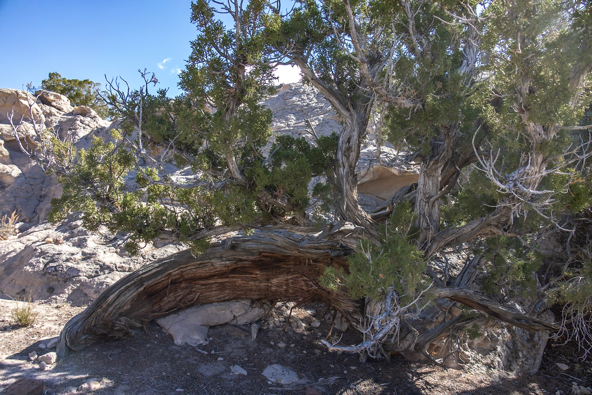 Hickison Petroglyphs, Austin NV