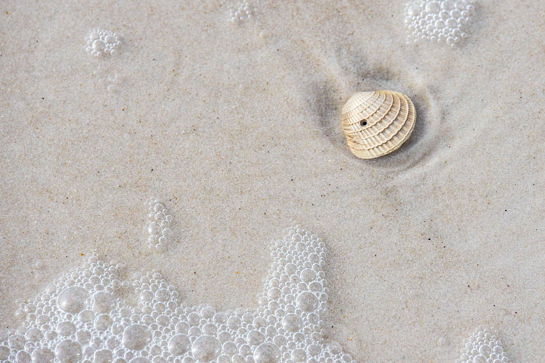 St Andrews State Park