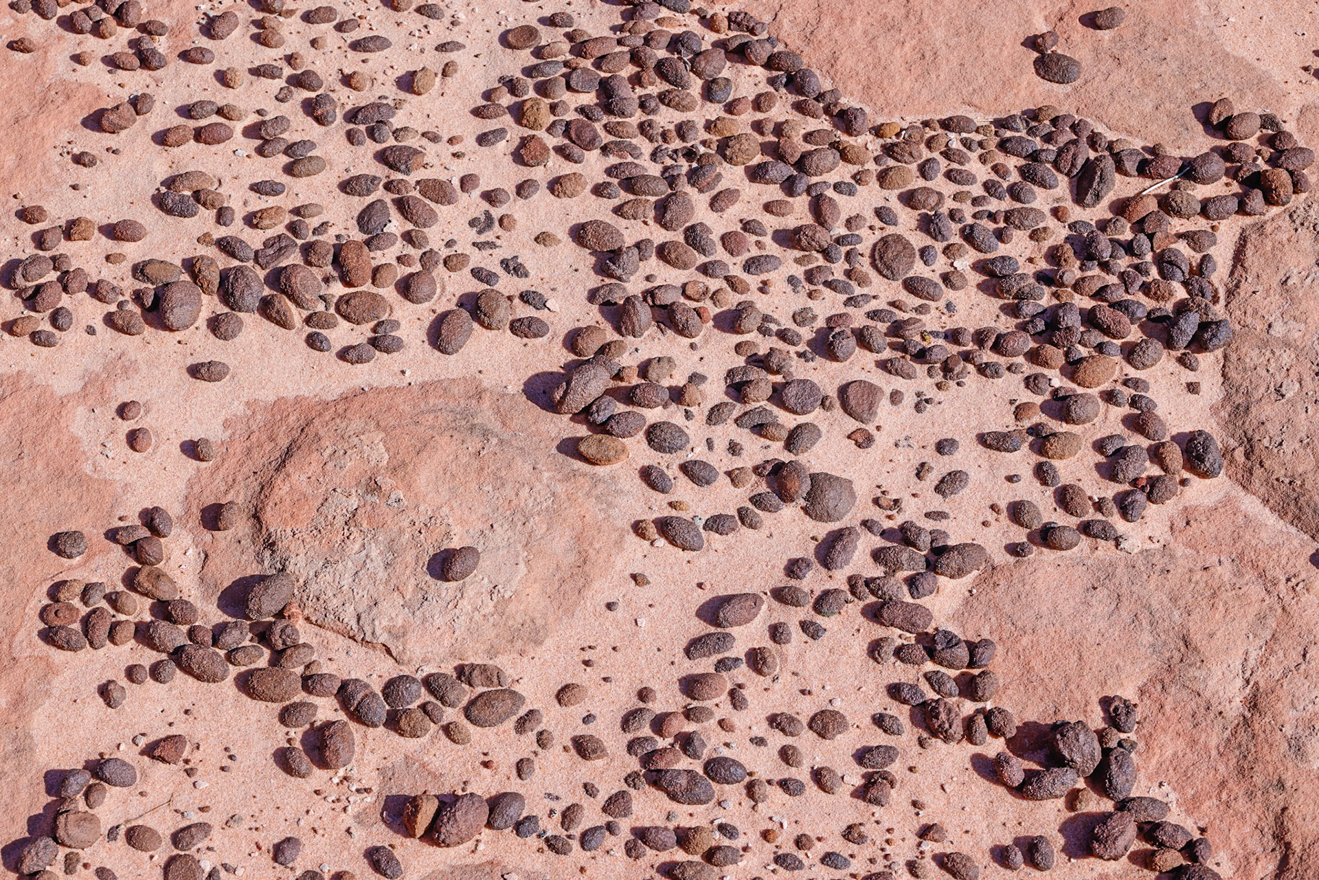 White Pockets, Vermillion Cliffs AZ