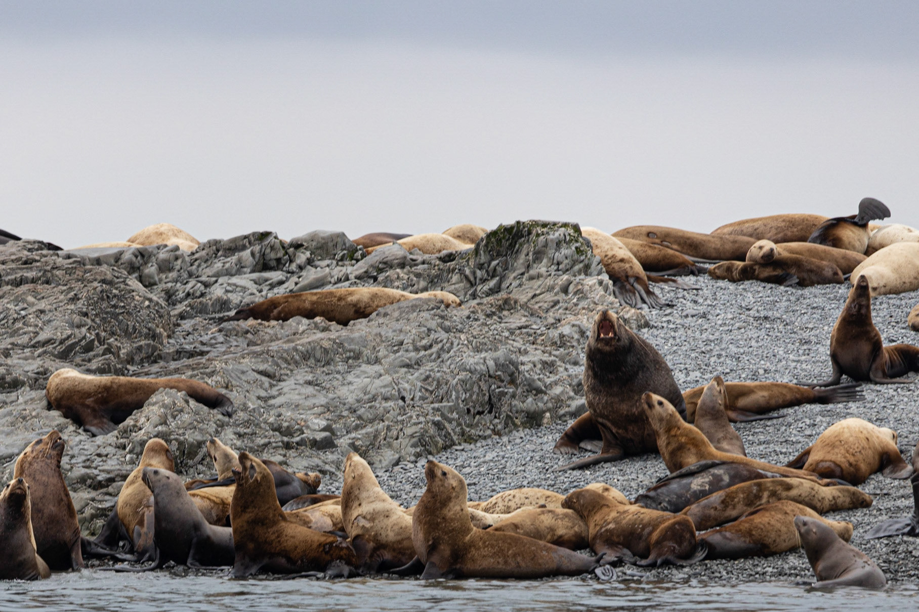 Prince William Sound AK