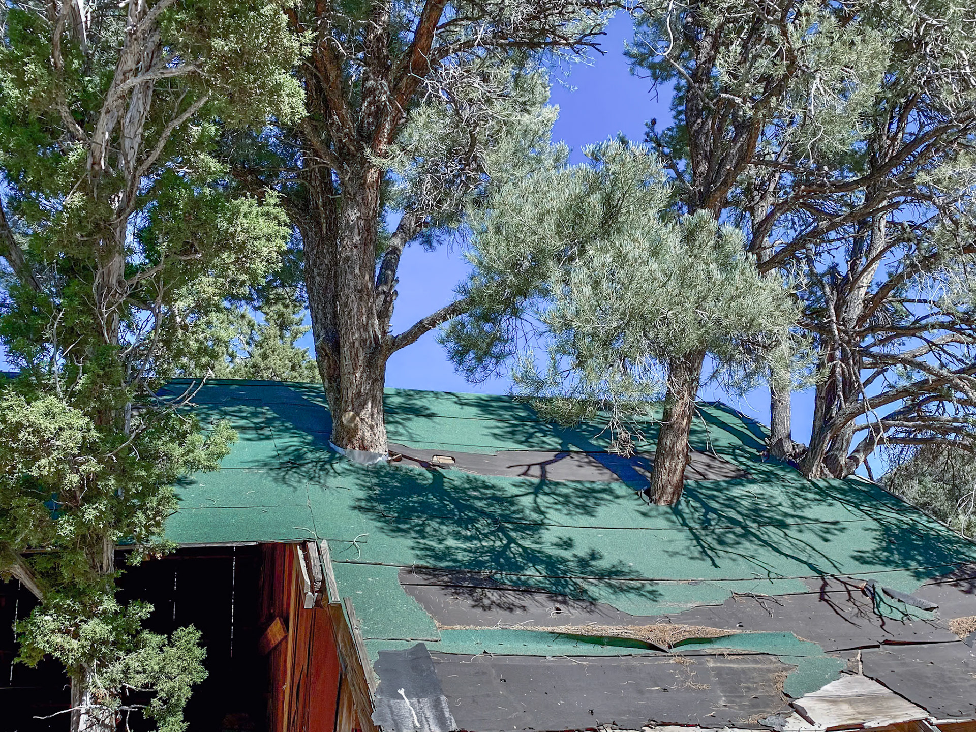 Berlin-Ichthysaur SP, Berlin NV