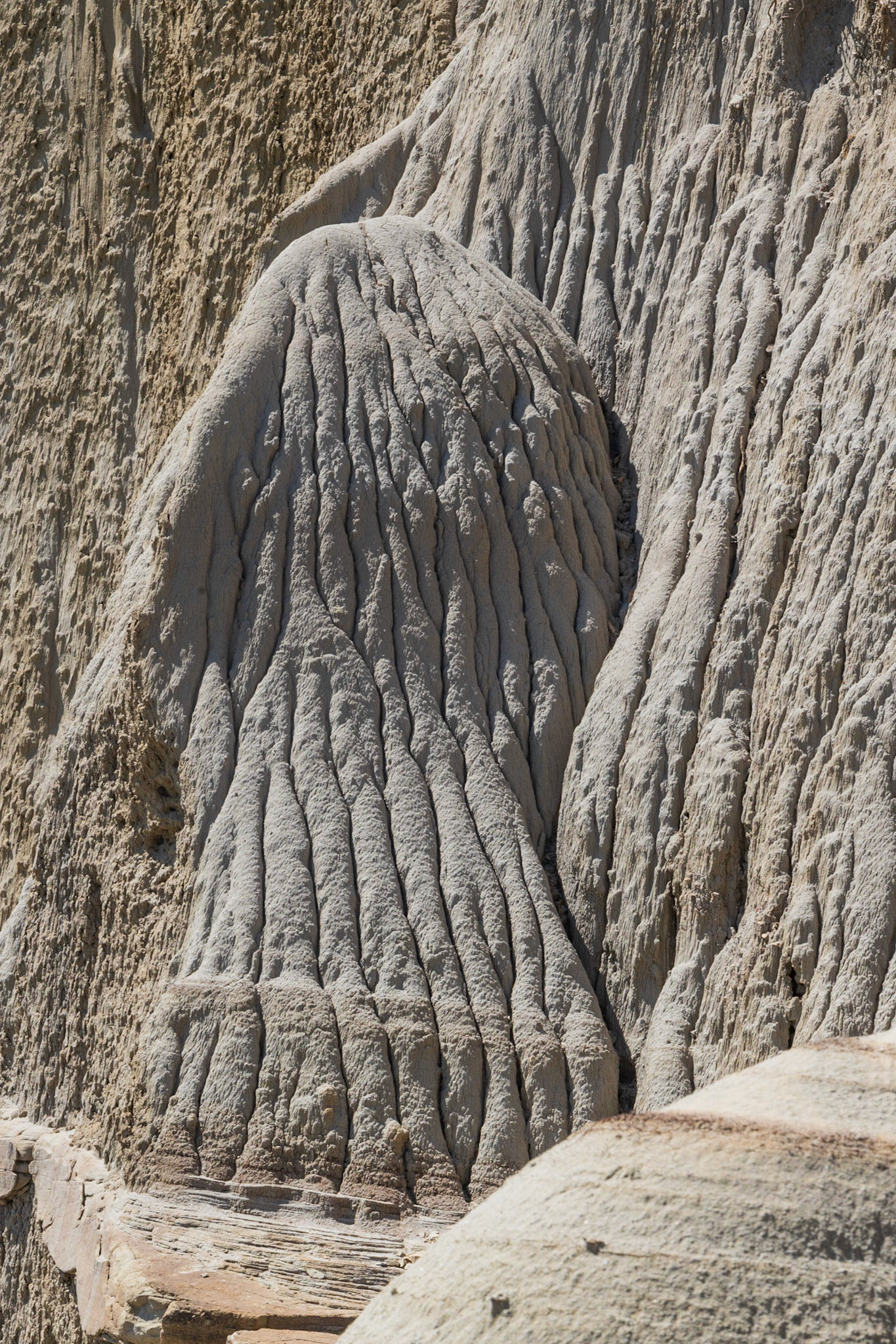 Theodore Roosevelt NP, North Unit, ND