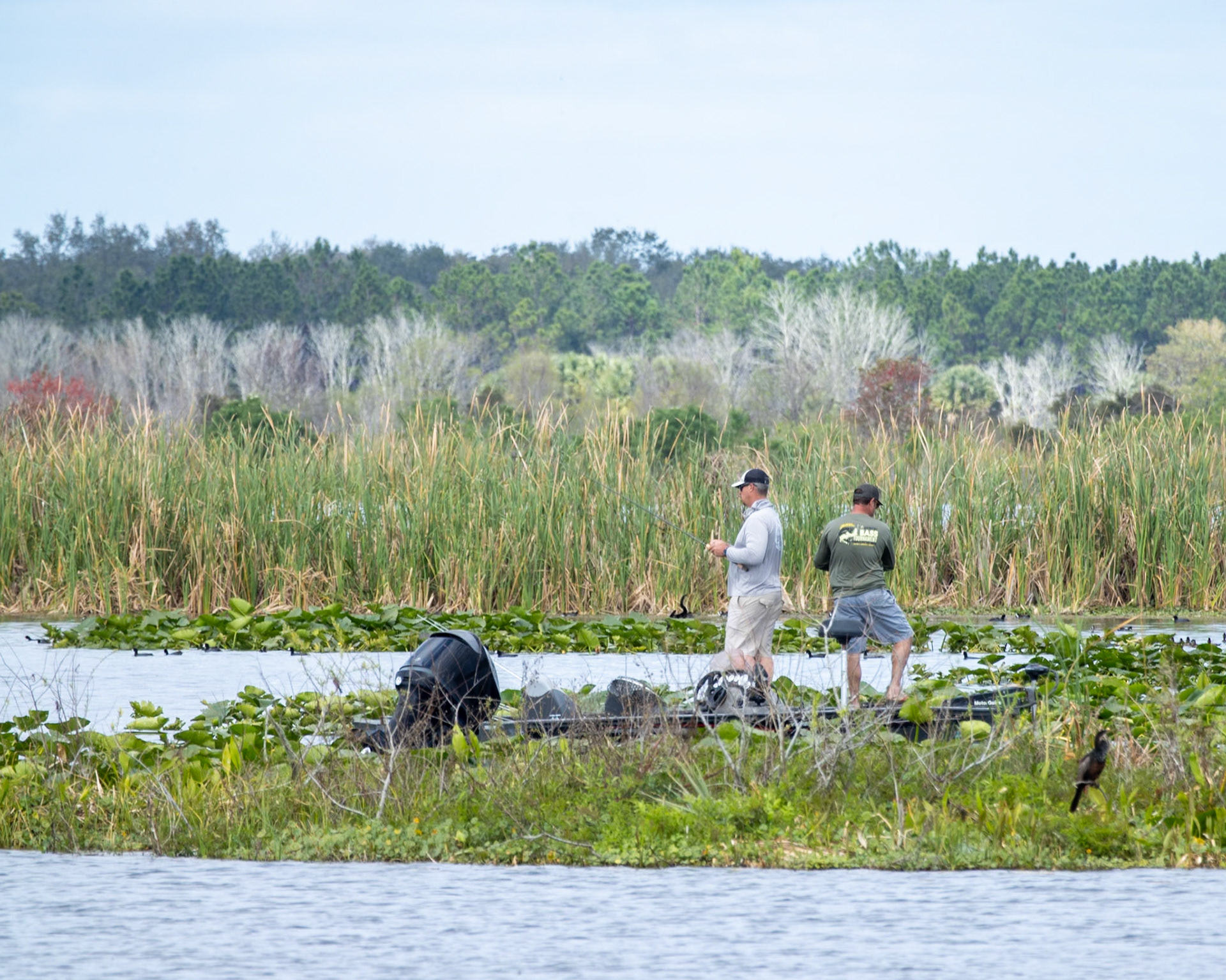 Emeralda Marsh Leesburg FL
