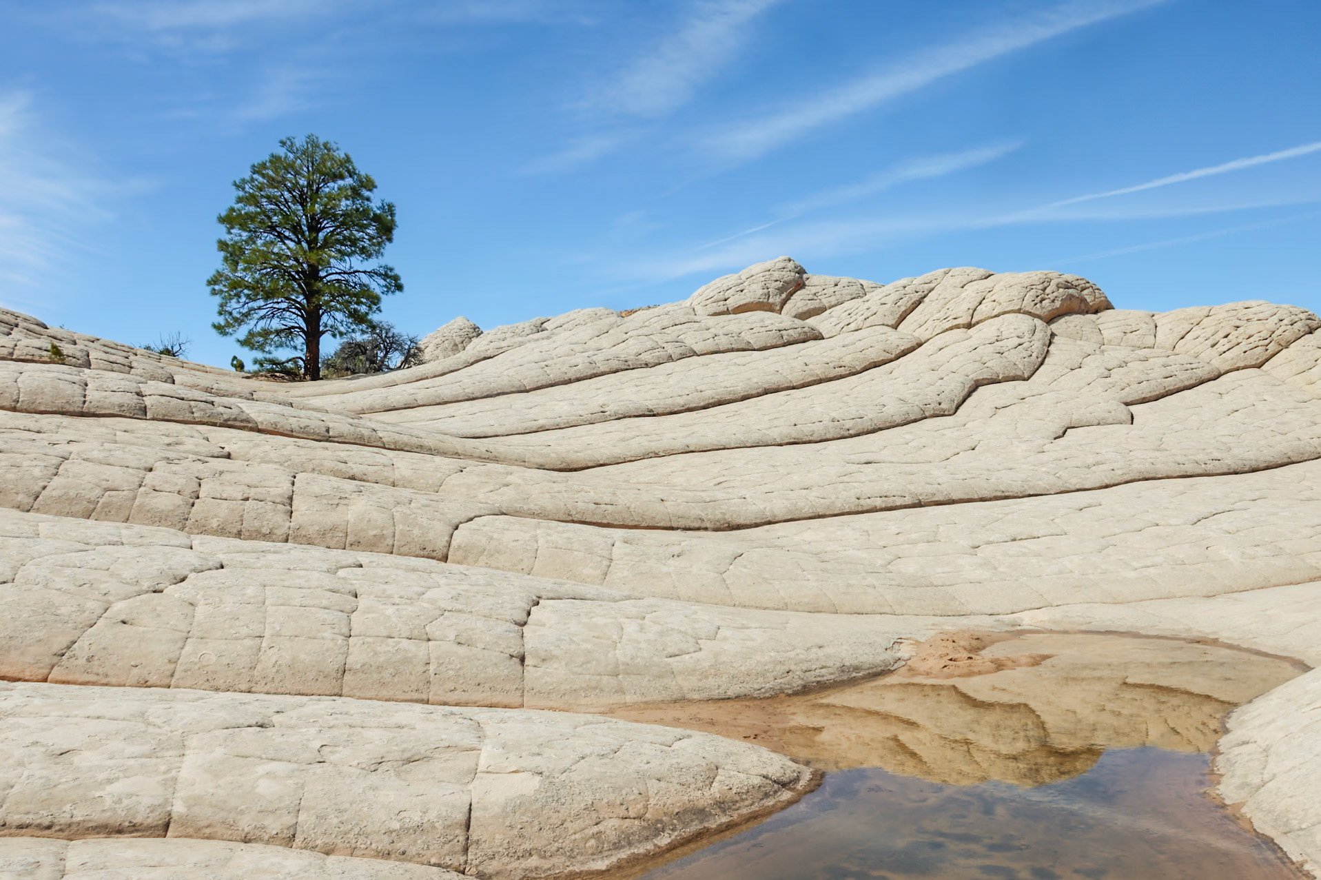 White Pockets, Vermillion Cliffs AZ