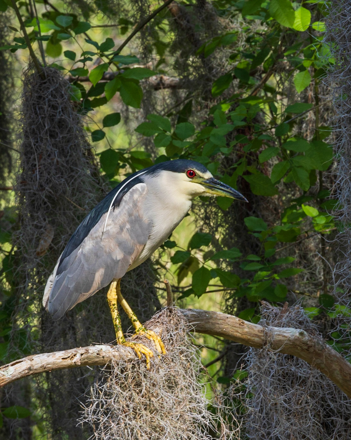 Circle B Bar Reserve FL