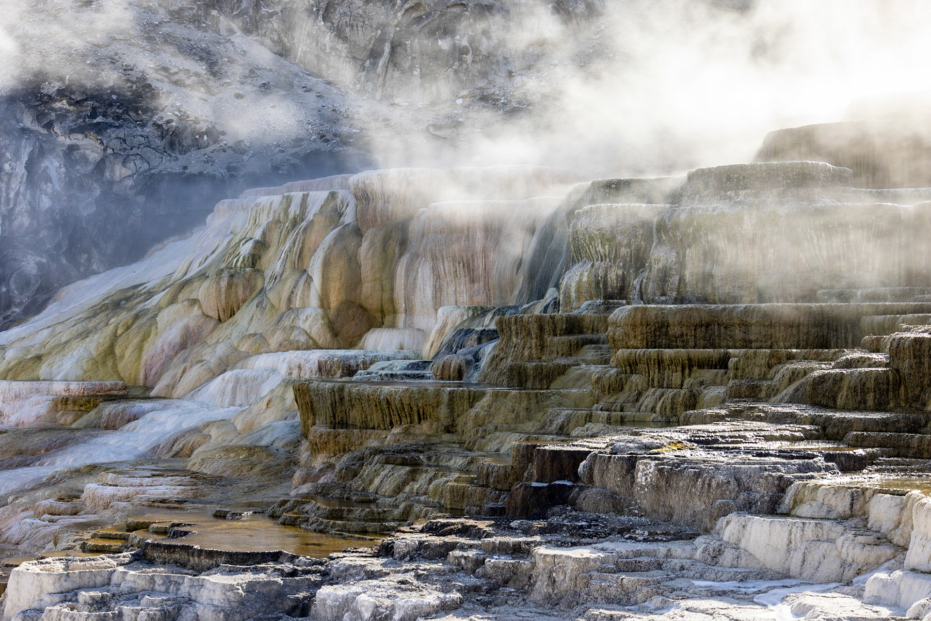 Mammoth Hot Springs, Yellowstone NP WY