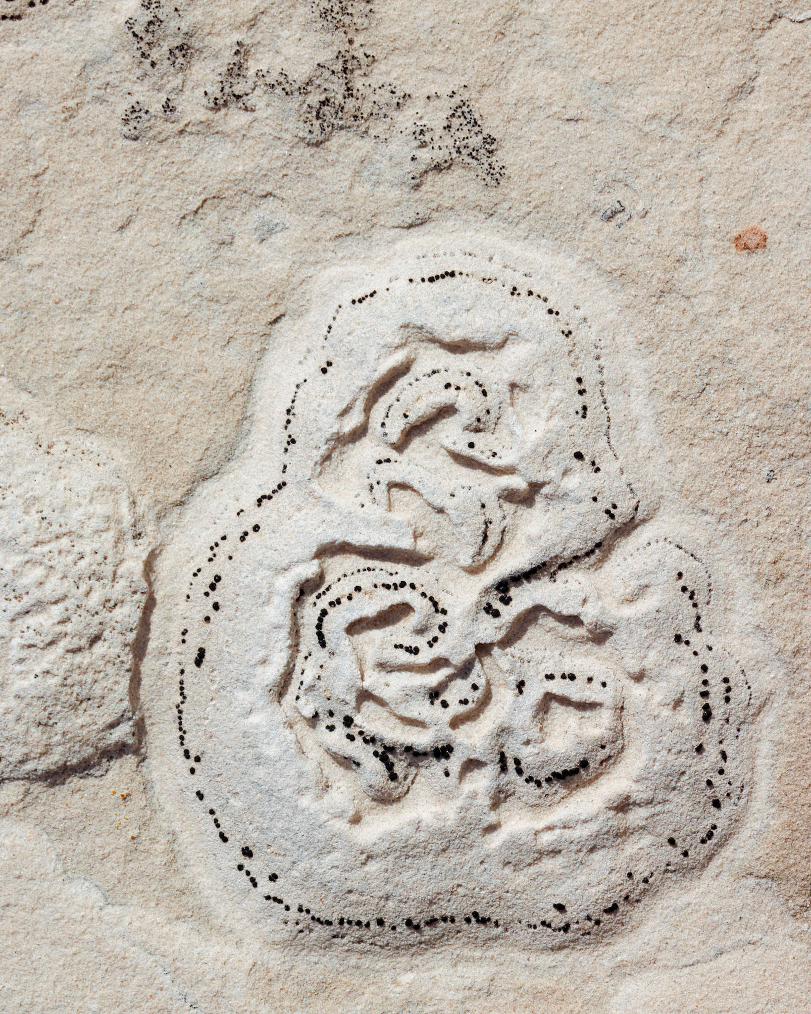 White Pockets, Vermillion Cliffs AZ