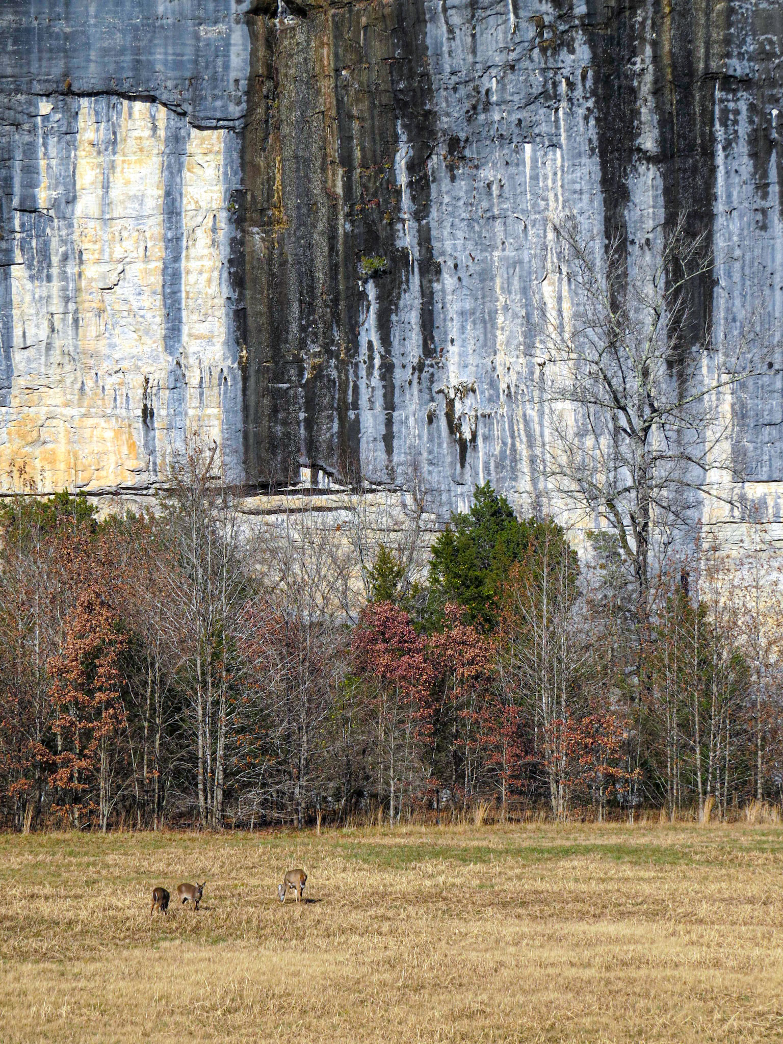 Buffalo National River, Blanko 11a111r