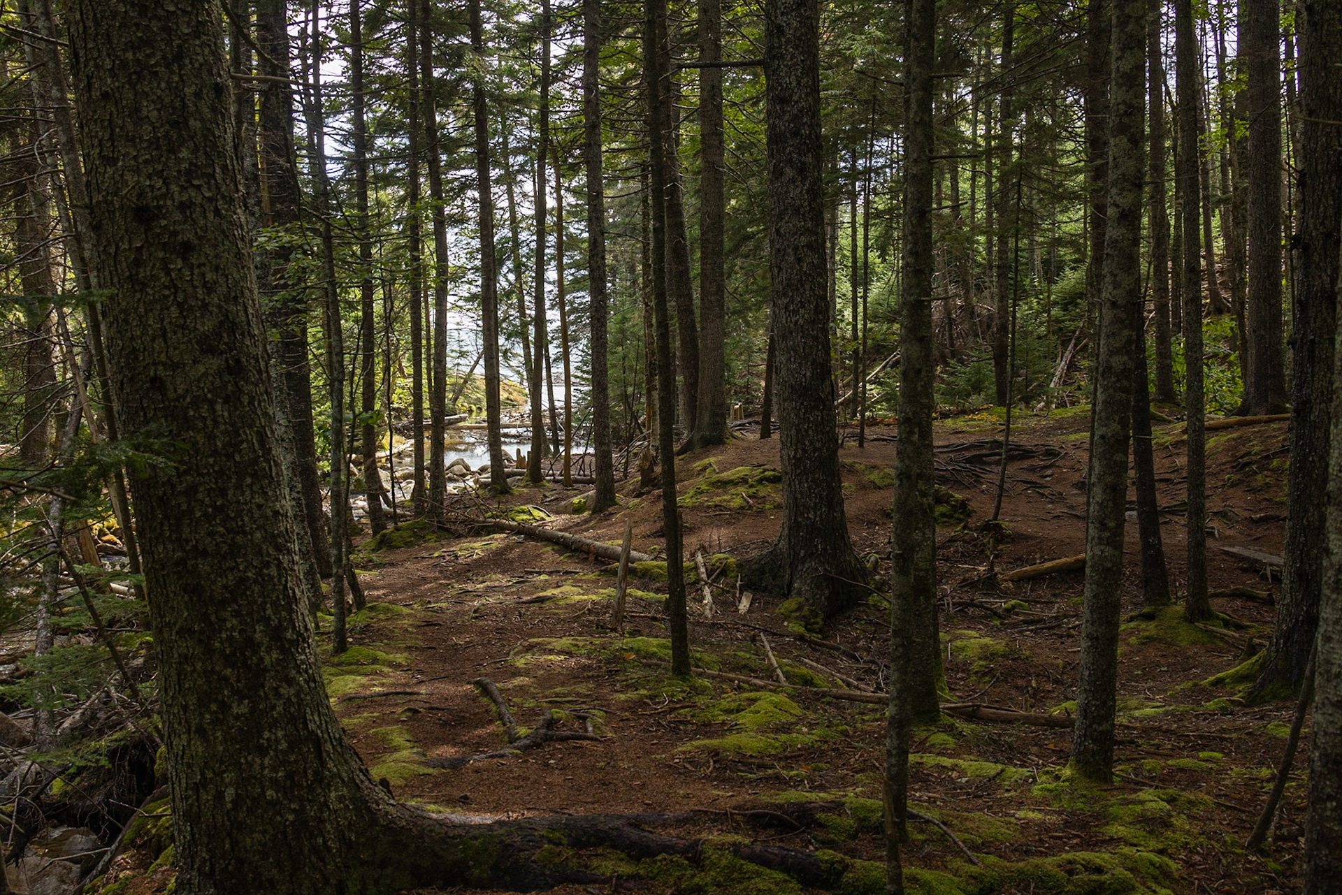 Hunters Beach Trail, ME