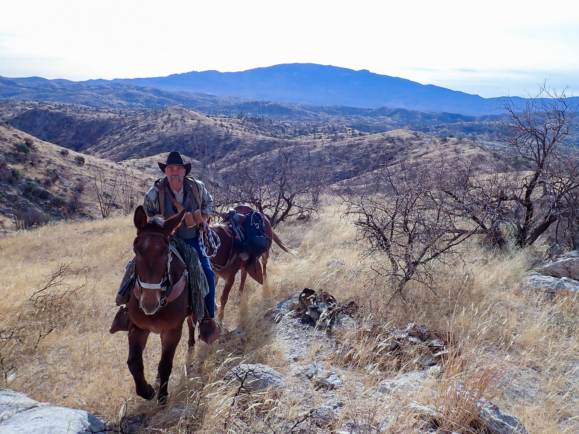 Coronado NF, Rincon MT Wilderness, AZ