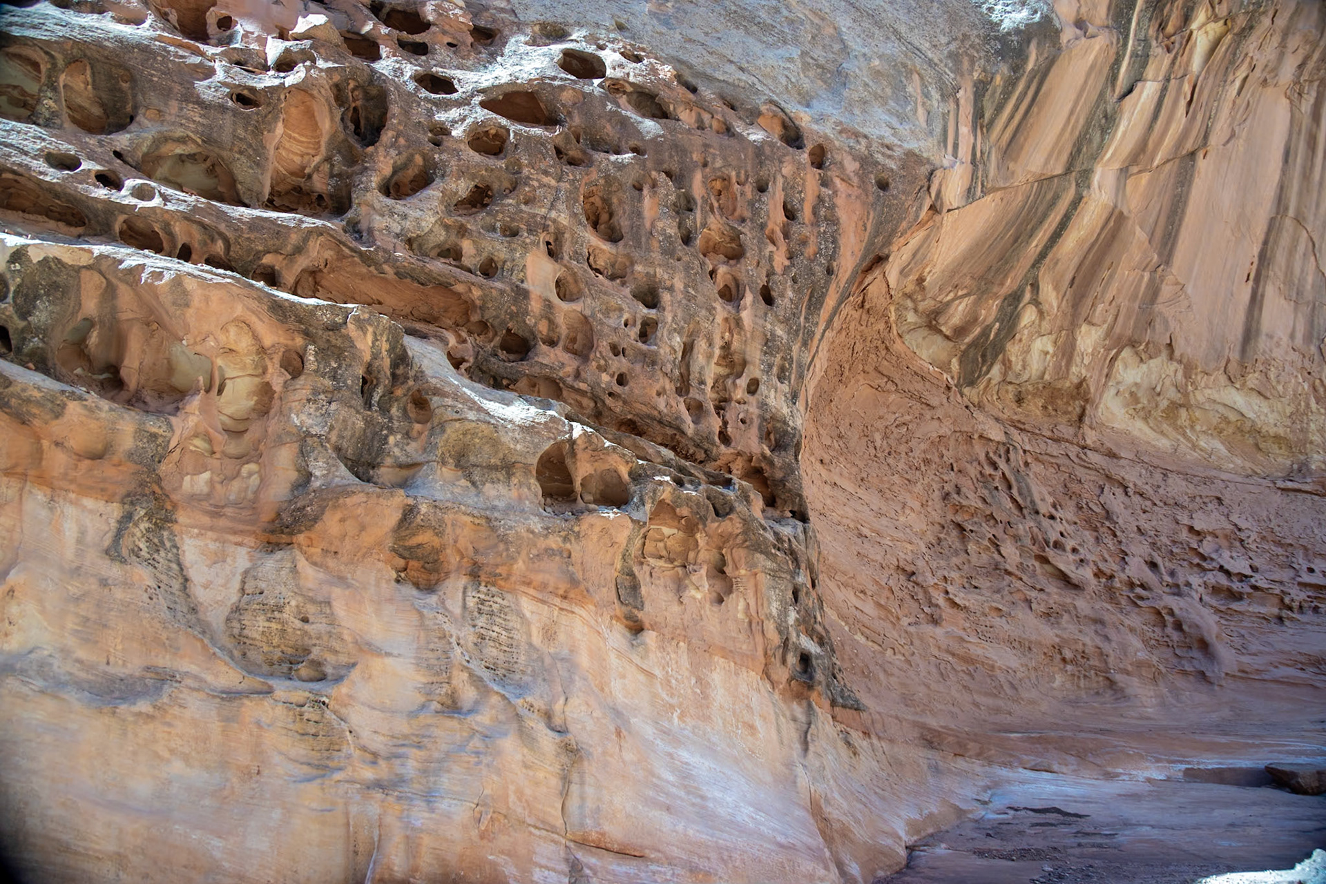 Capital Gorge Road, Fruita UT