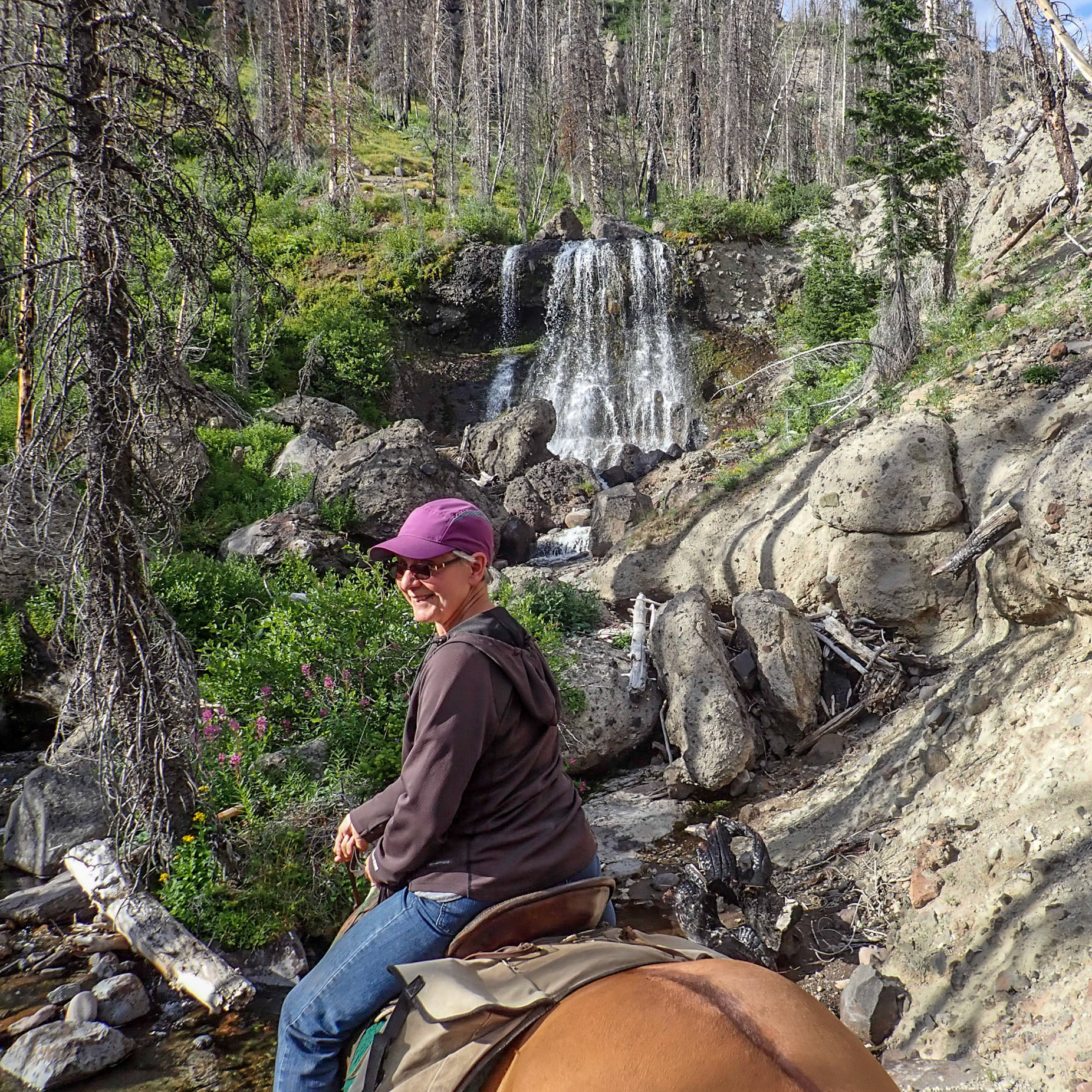 Thorofare Plateau, WY