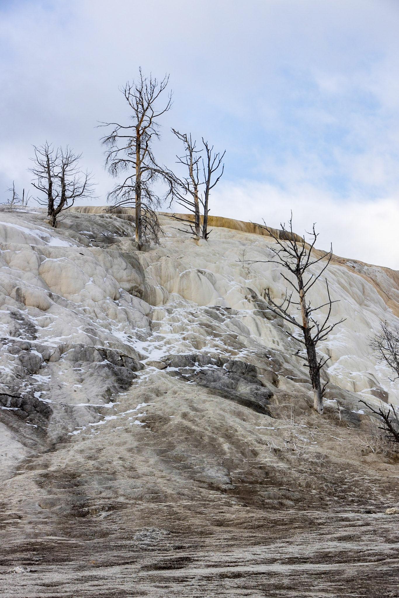 Mammoth Hot Springs, Yellowstone NP WY