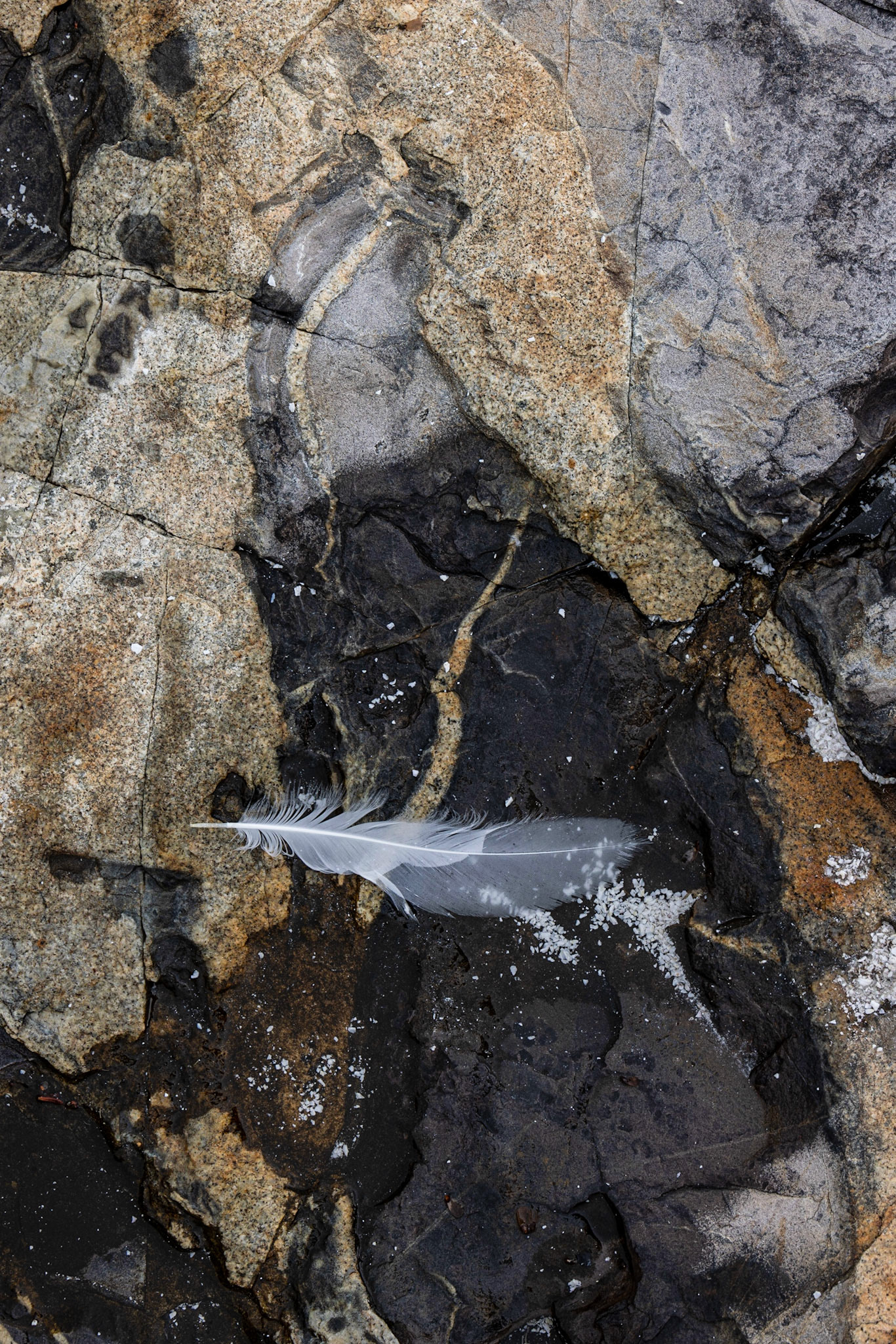 Little Hunters Beach, ME