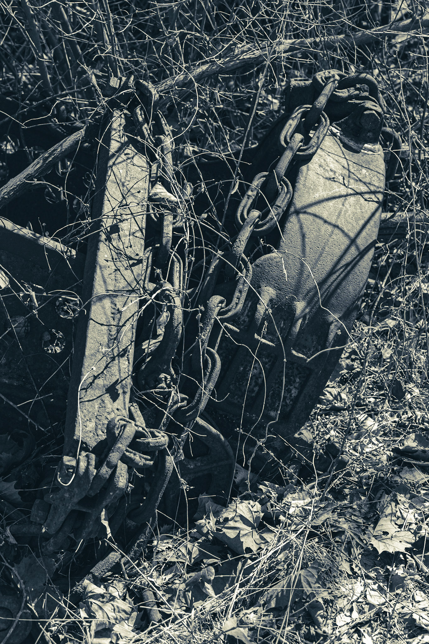 Route 57, Phillippi, WV