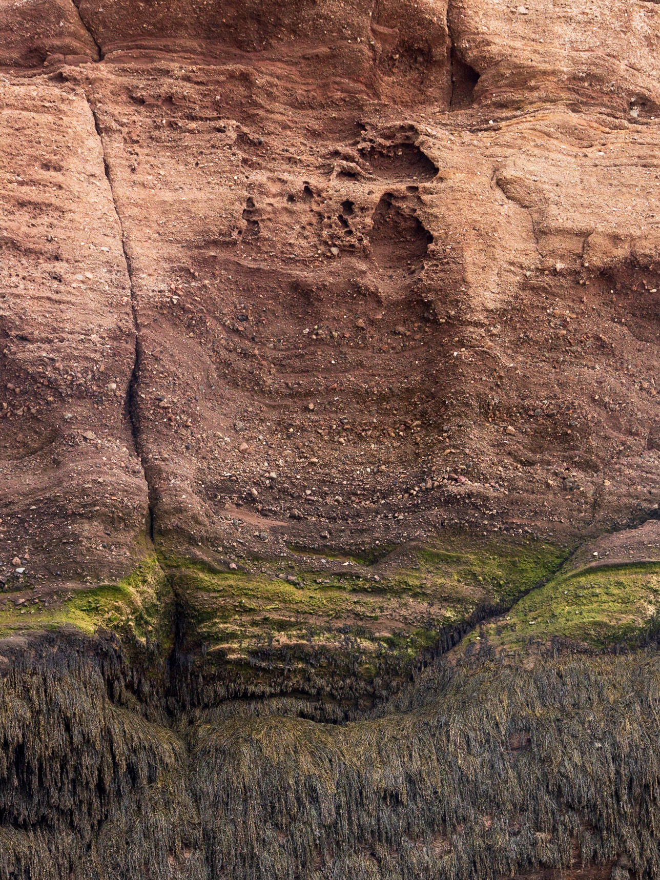 Hopewell Rocks PP, New Brunswick