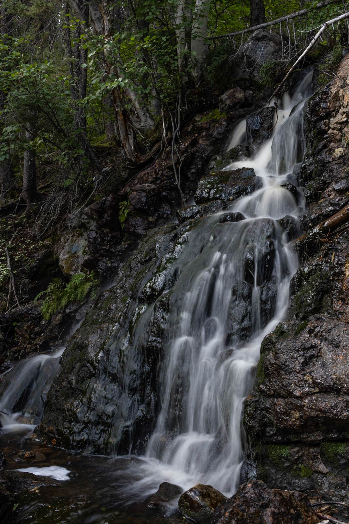 Scenic Waterfalls, Happy Valley, NL