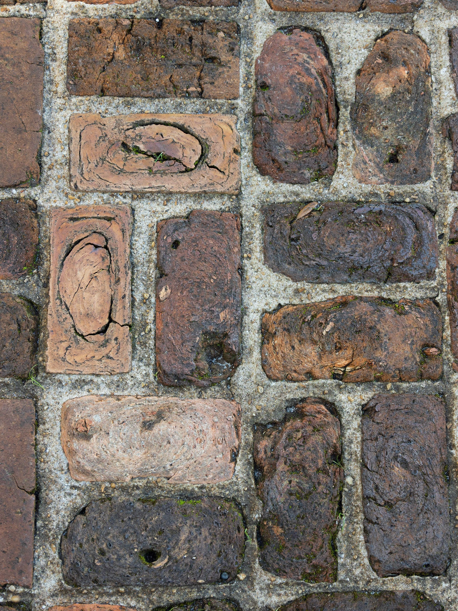 Eden Gardens State Park