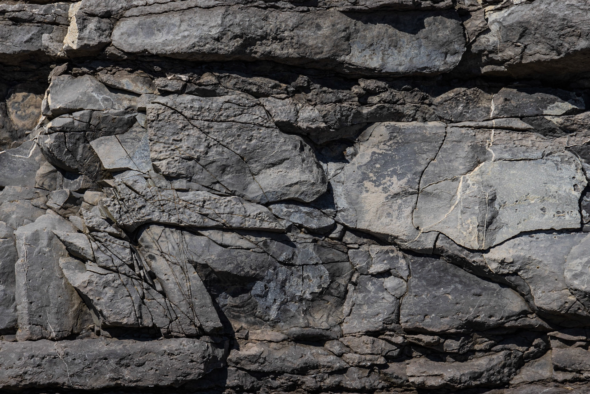 Table Point Ecological Preserve, NL