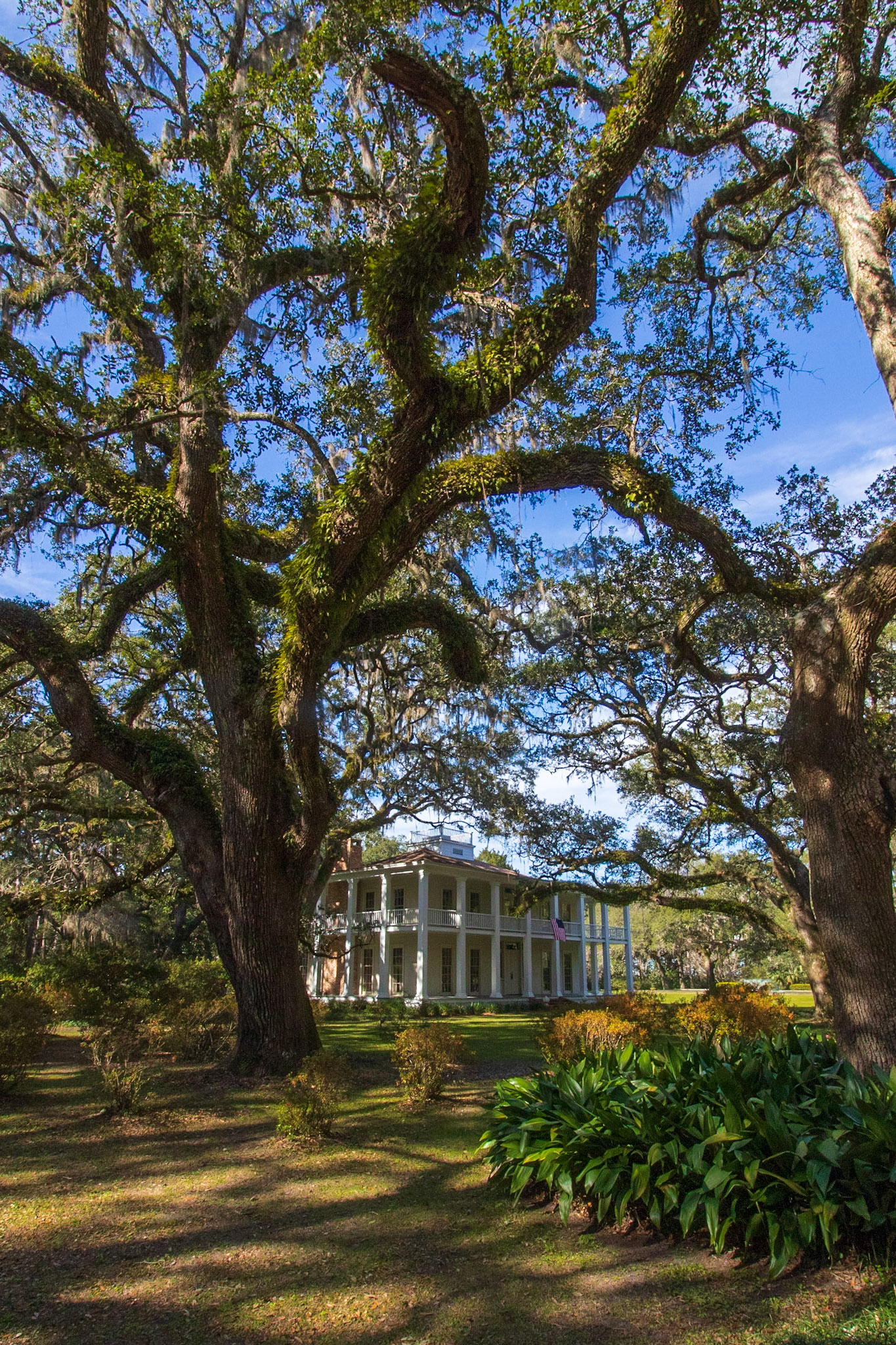 Eden Gardens State Park