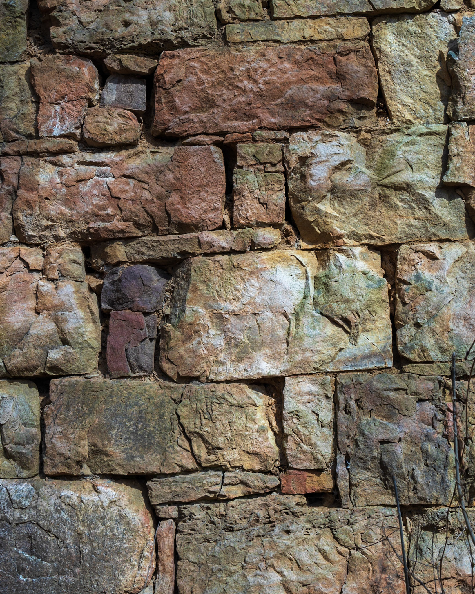 Alum Springs Rd, Basye VA