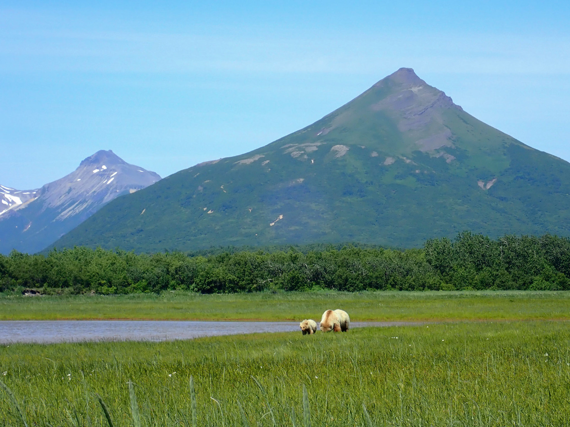 Hallo Bay, Katmai NP, AK