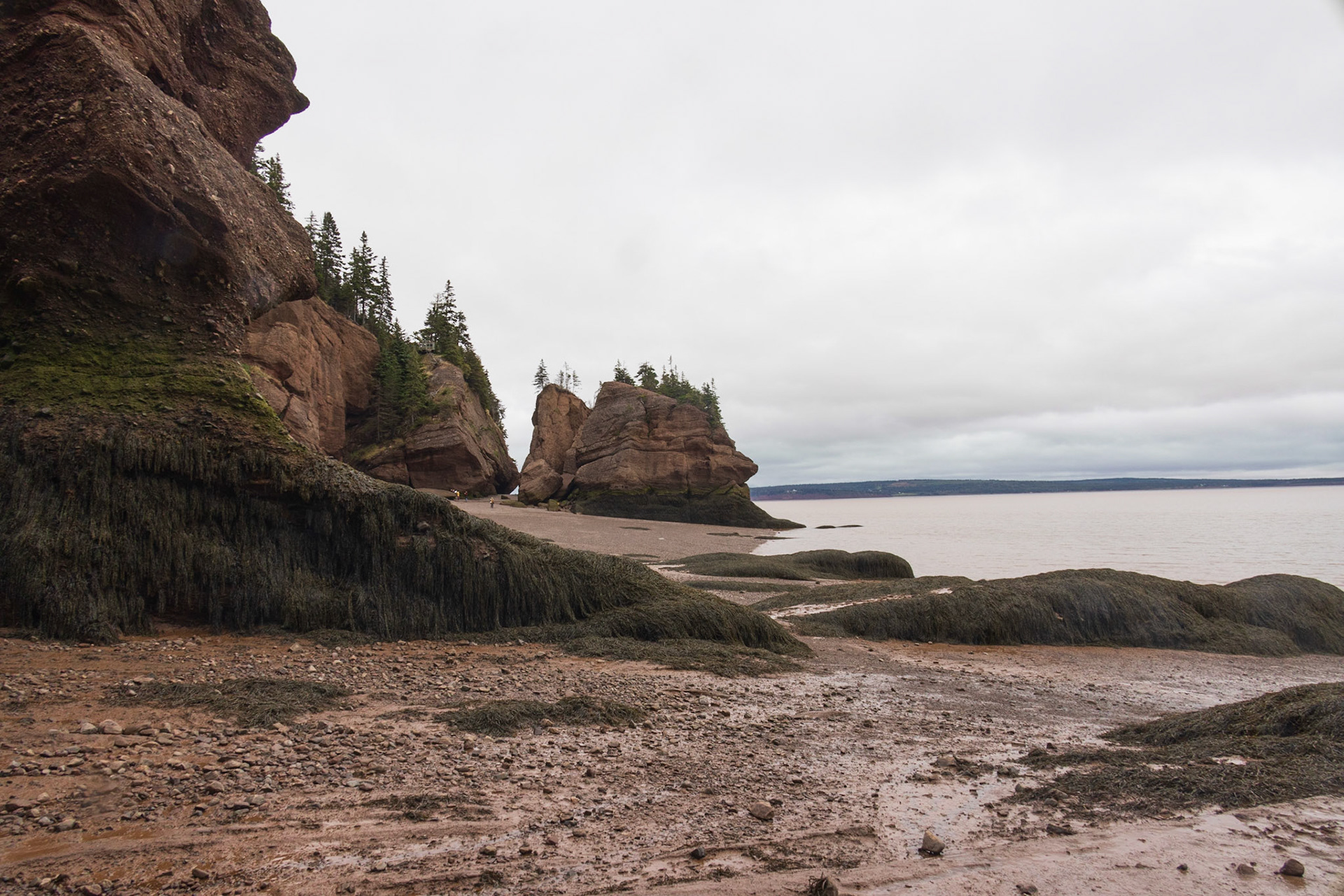 Hopewell Rocks PP, New Brunswick