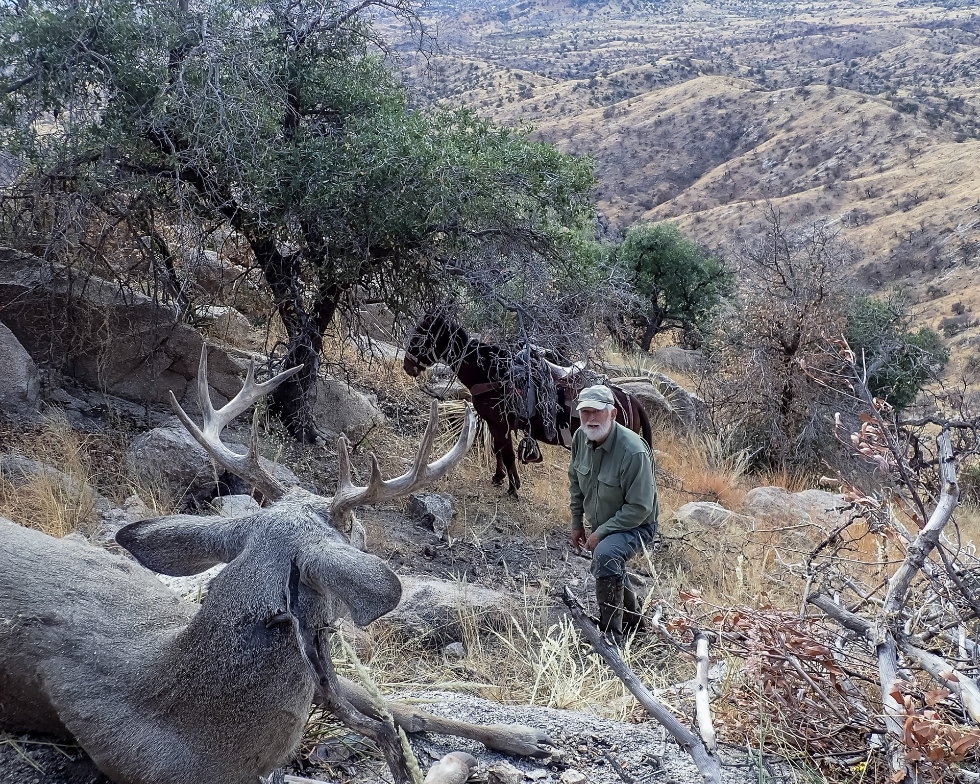 Coronado NF, Rincon MT Wilderness, AZ