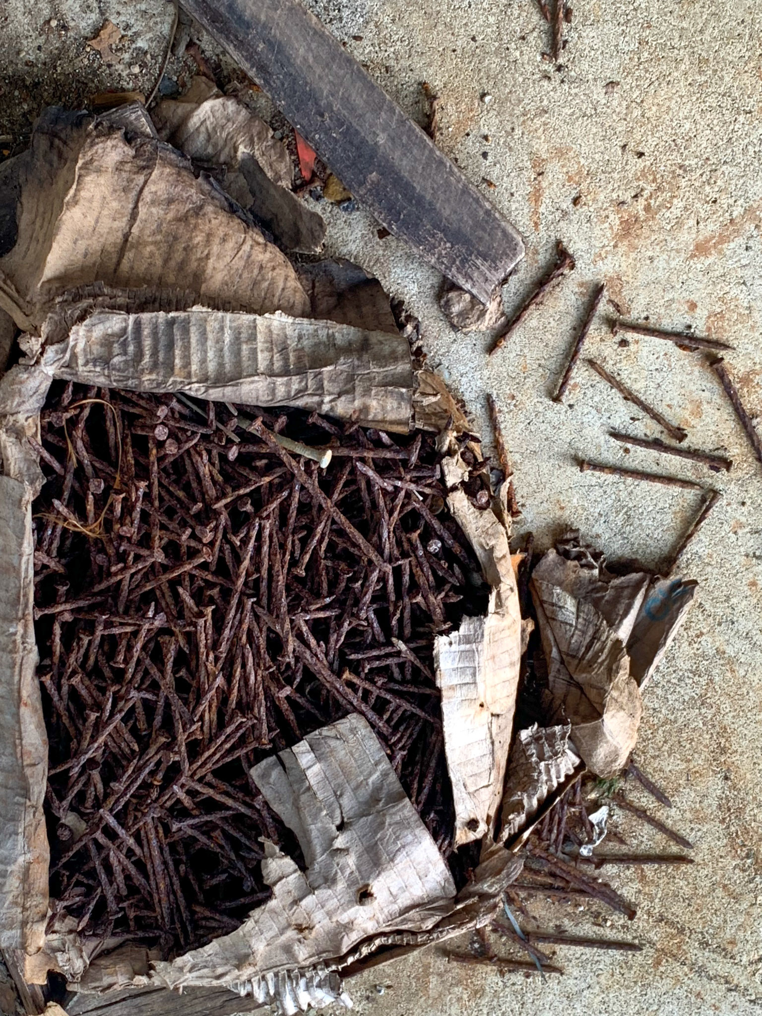 Abandoned Barracks, Saglek Airport, NL