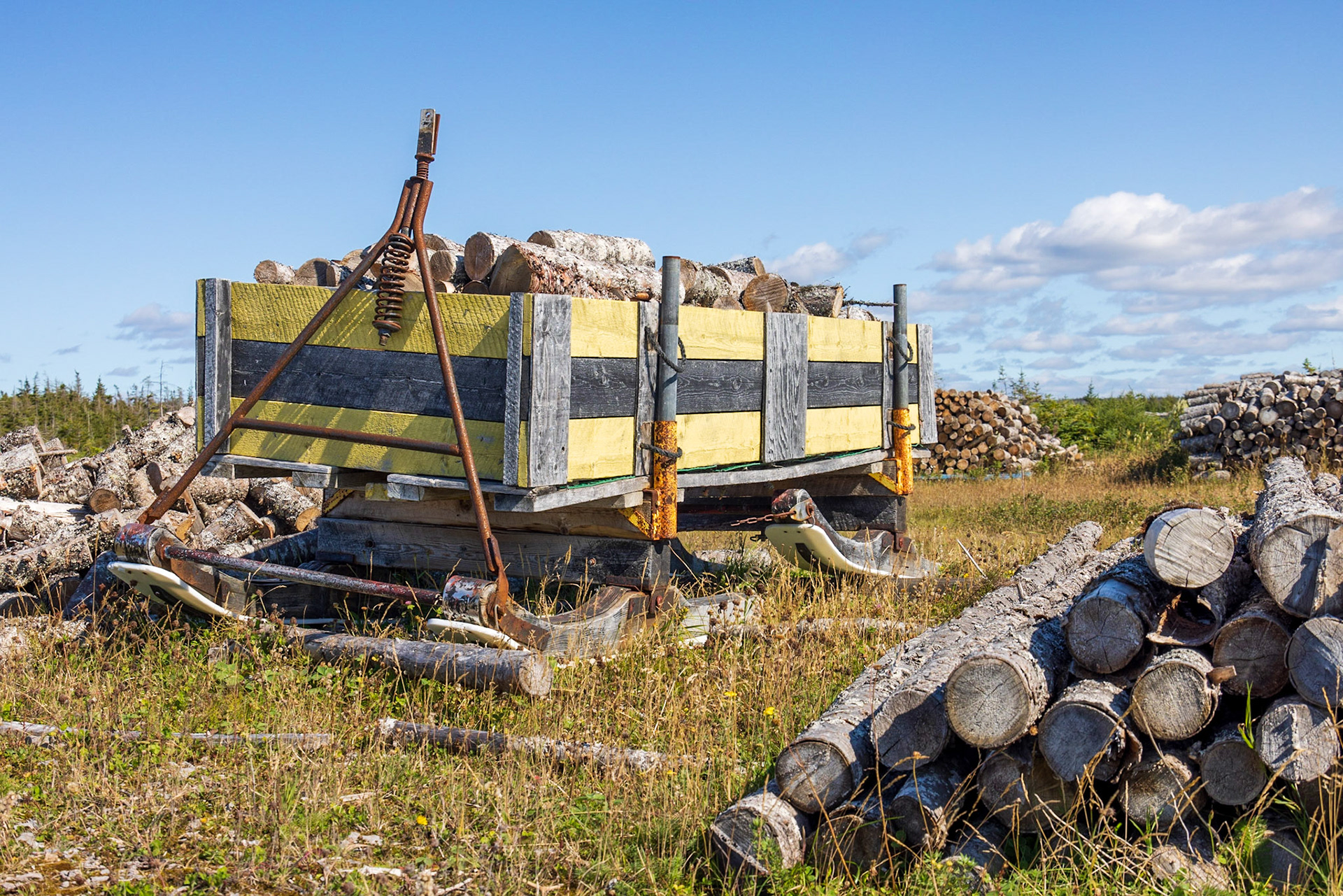 Winter firewood, Old Eddie's Cove Road, NL