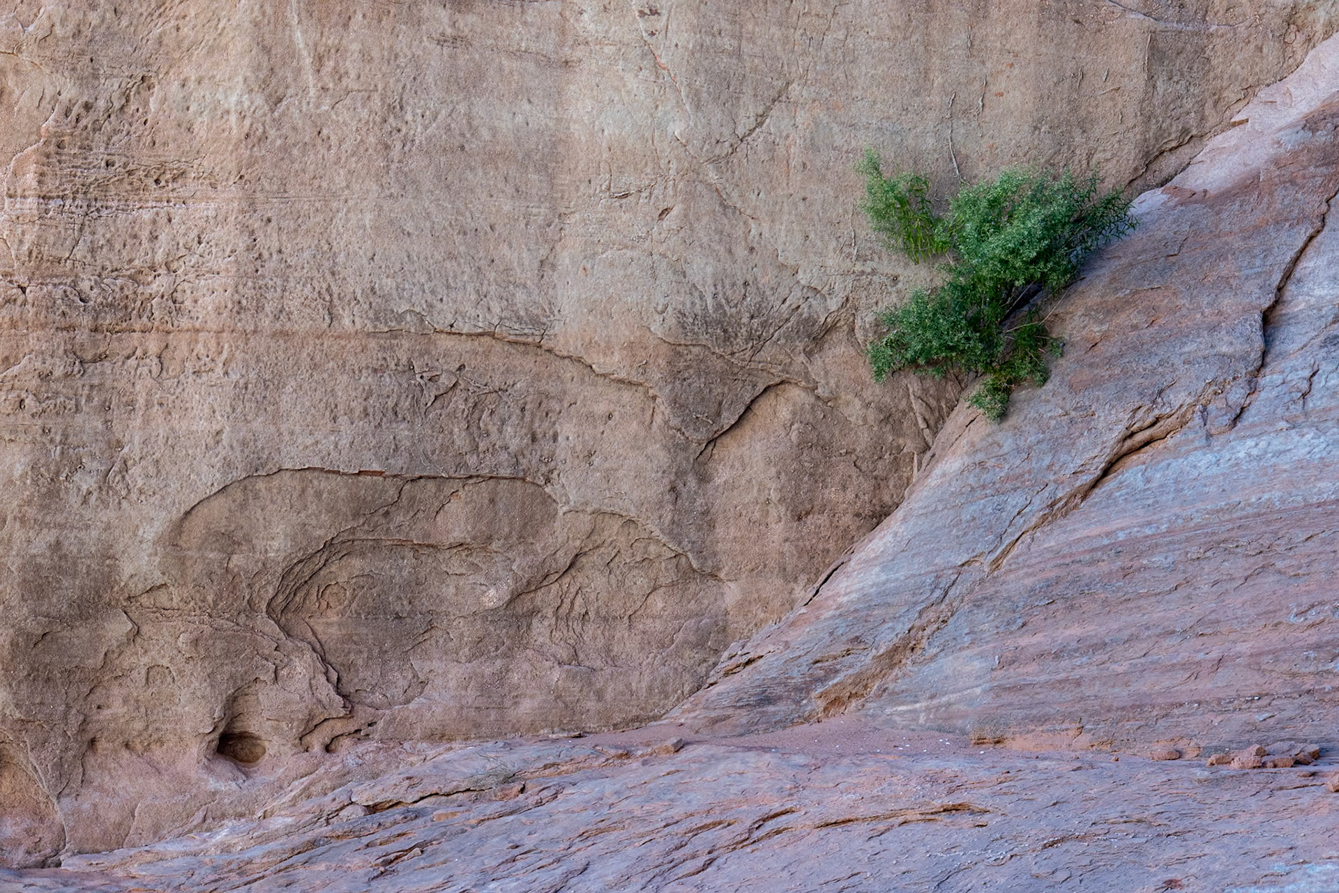 Navajo Canyon, Lake Powell AZ