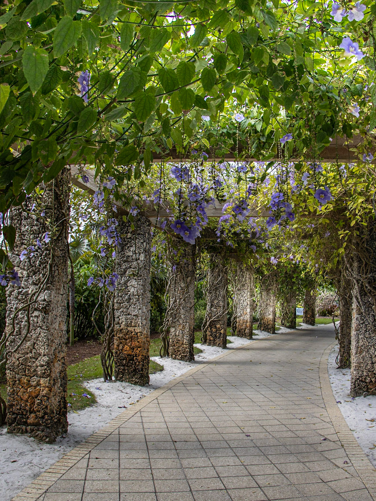 Naples Botanical Garden FL