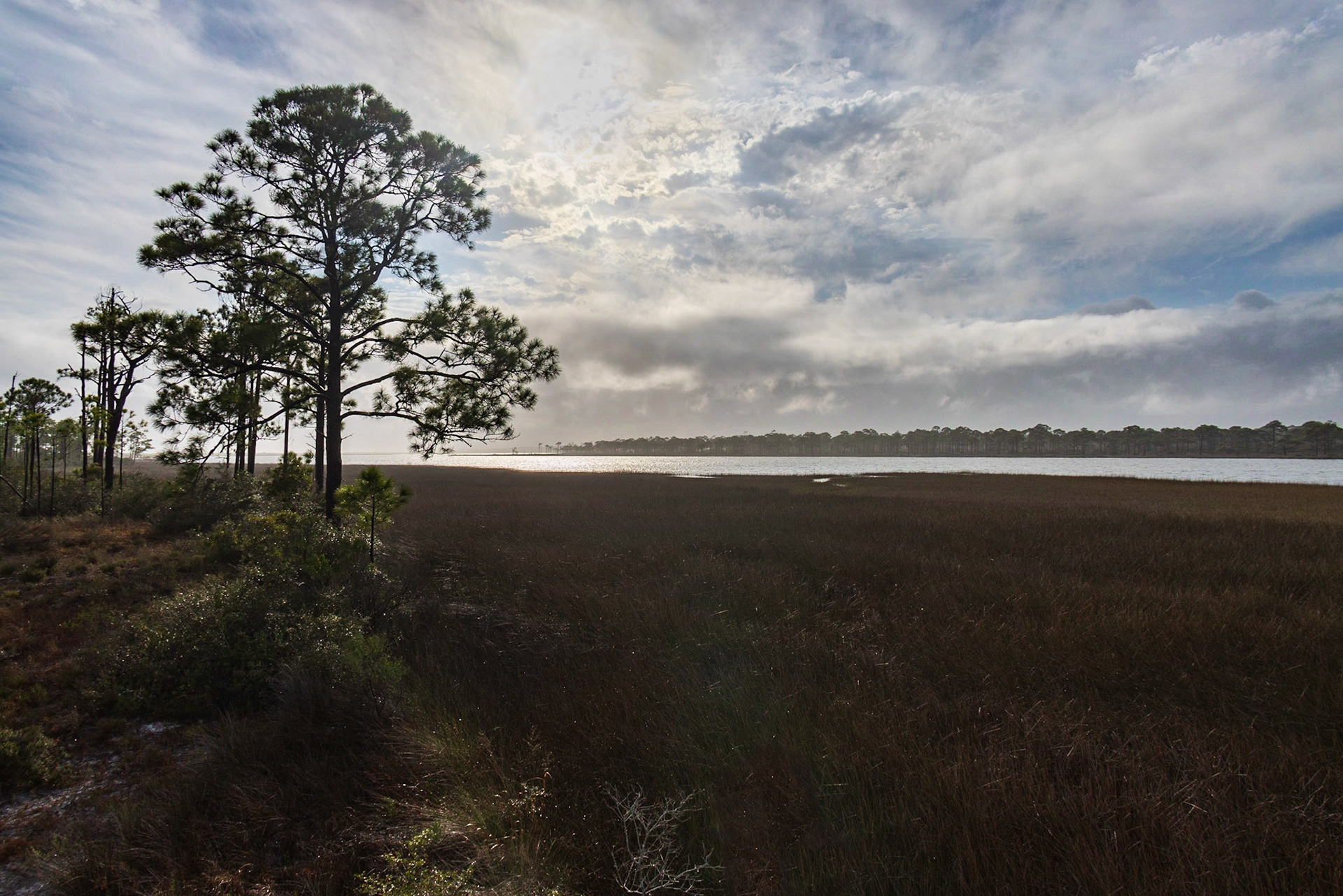 Saint George Island SP,FL