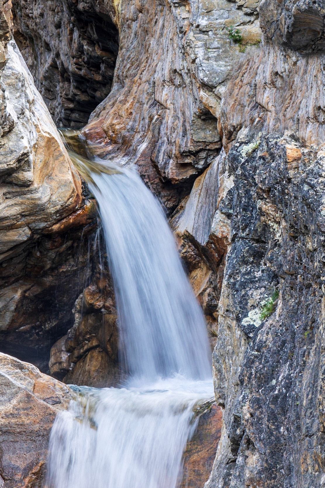 Field Trip up the North Arm, Torngat Mtns, NL