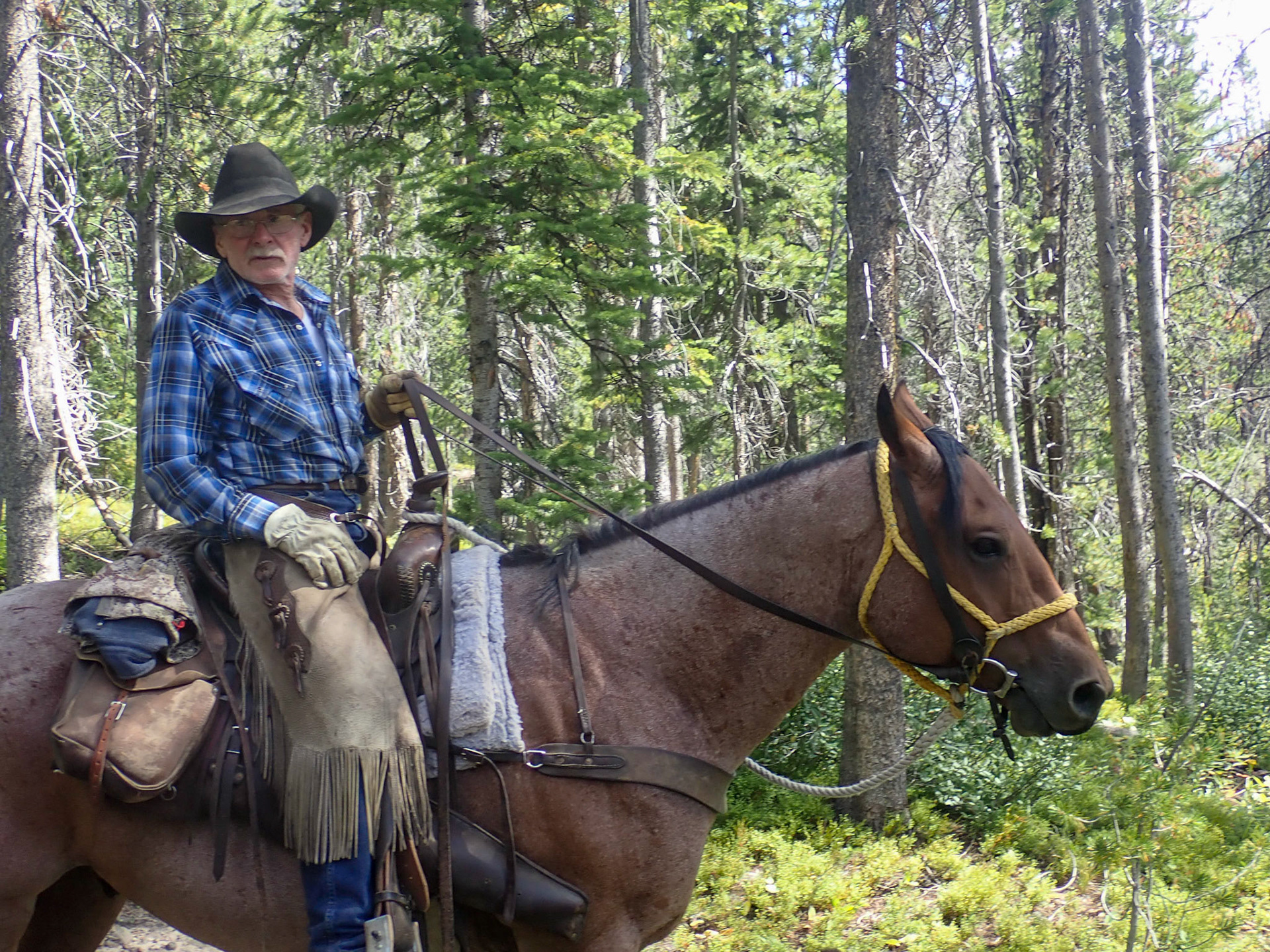 Thorofare Plateau, WY