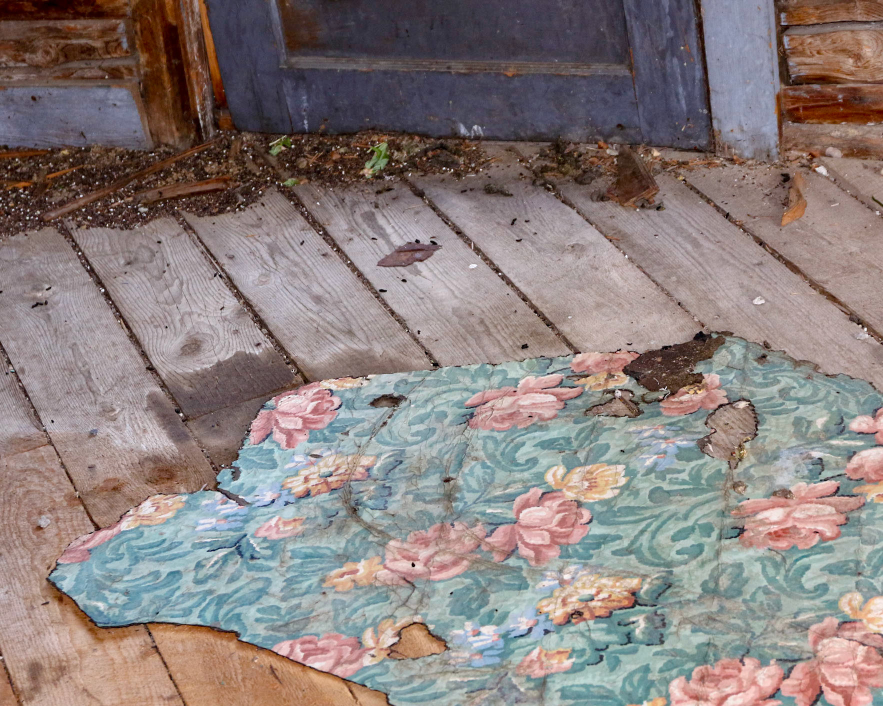 Mill Creek, Tobbacco Root Mts  MT