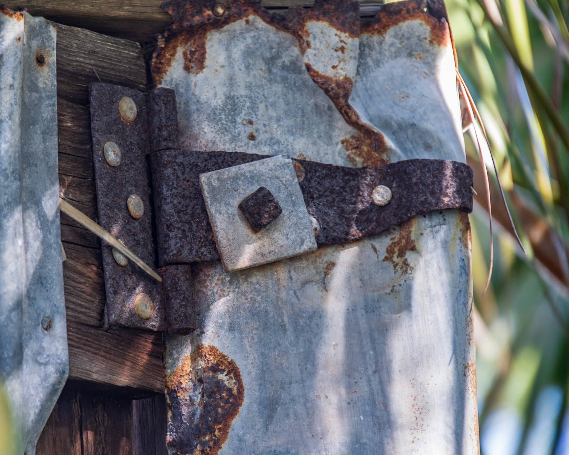 Marshall House, Cape St George, FL