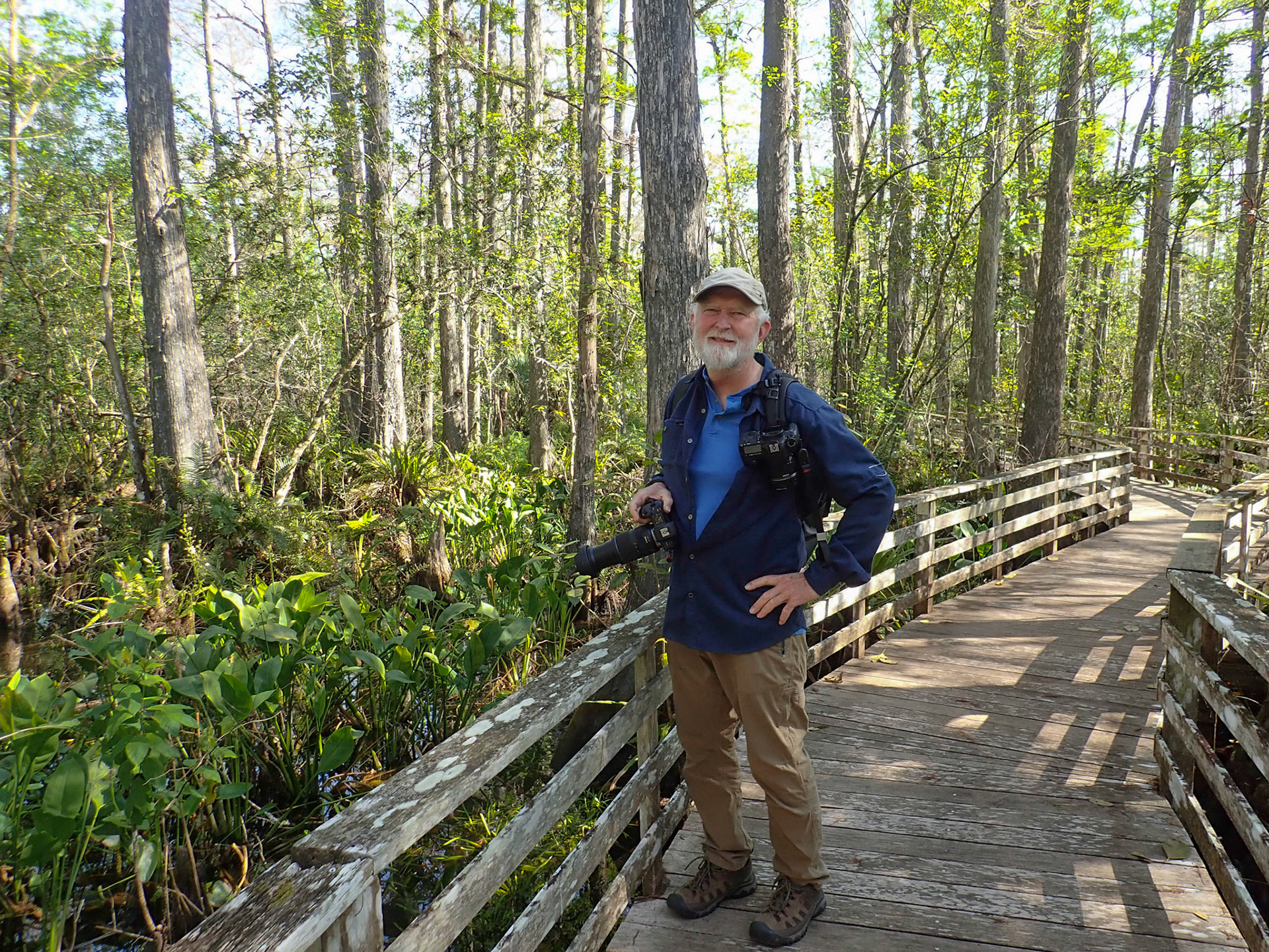 Corkscrew Swamp Sanctuary