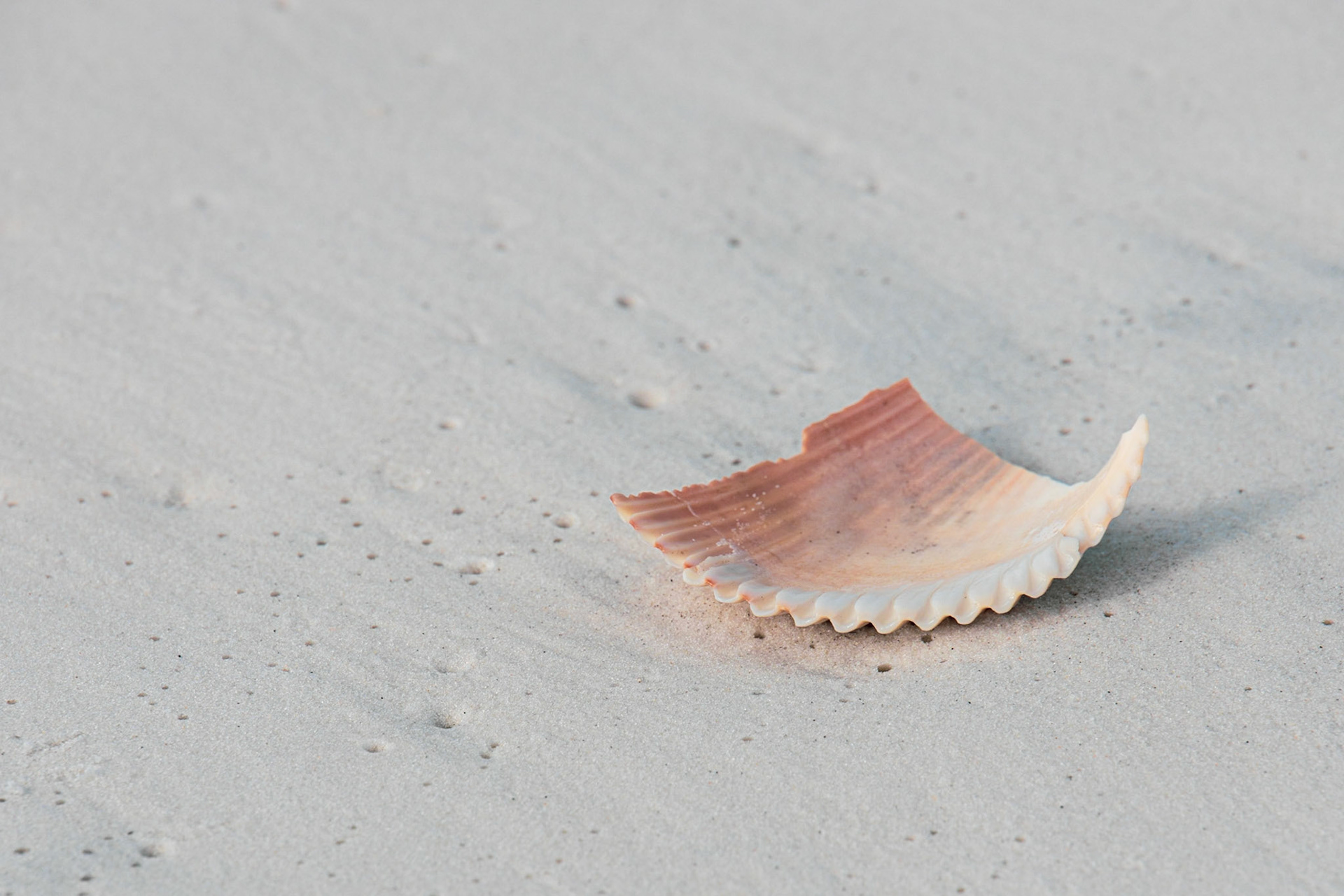 St Andrews State Park