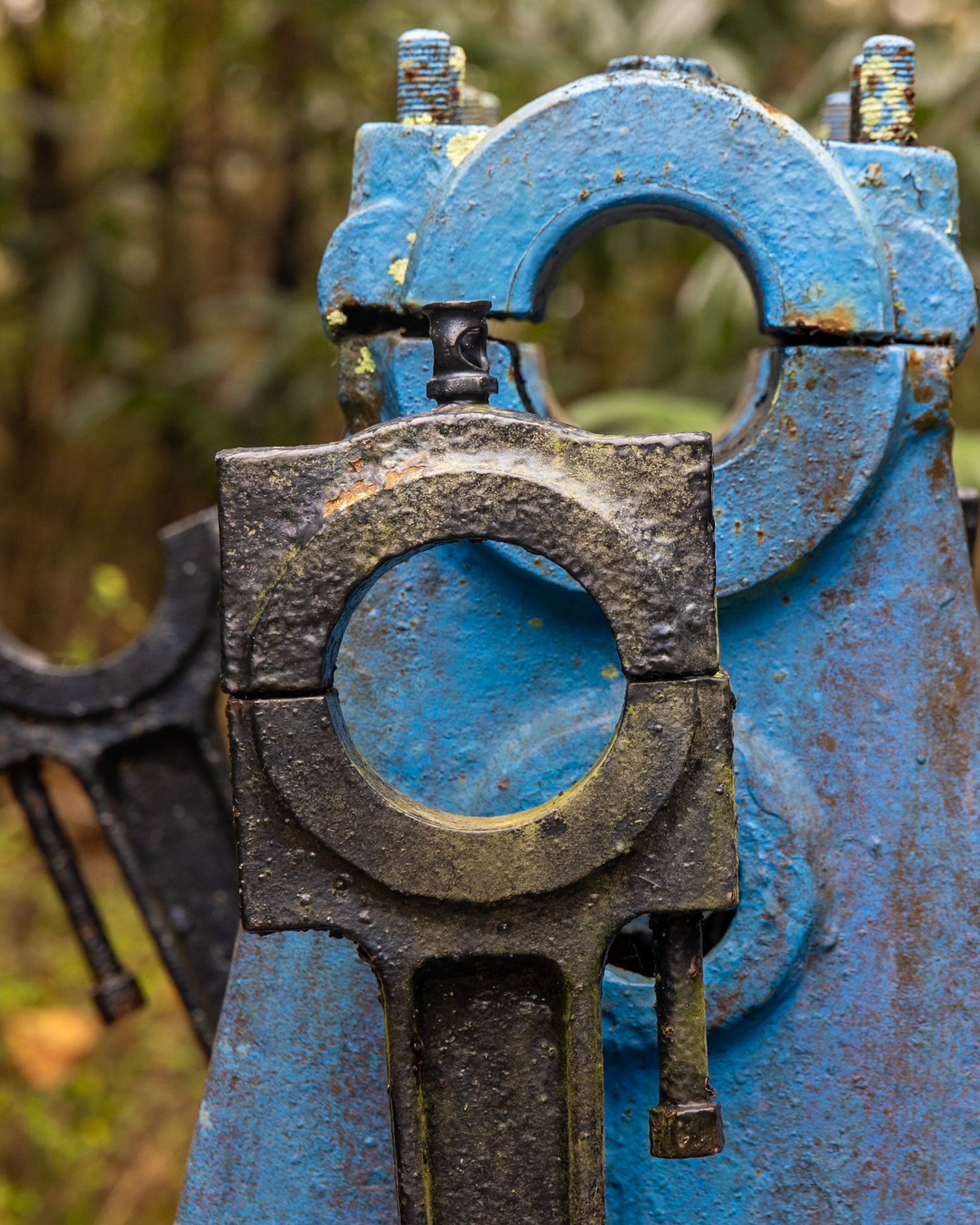 Bonaventure Cemetery, Savannah GA