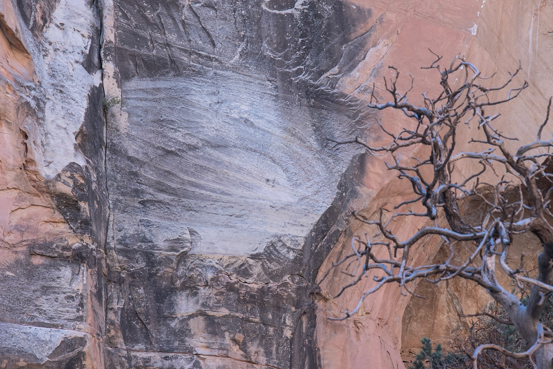 Capital Gorge Road, Fruita UT