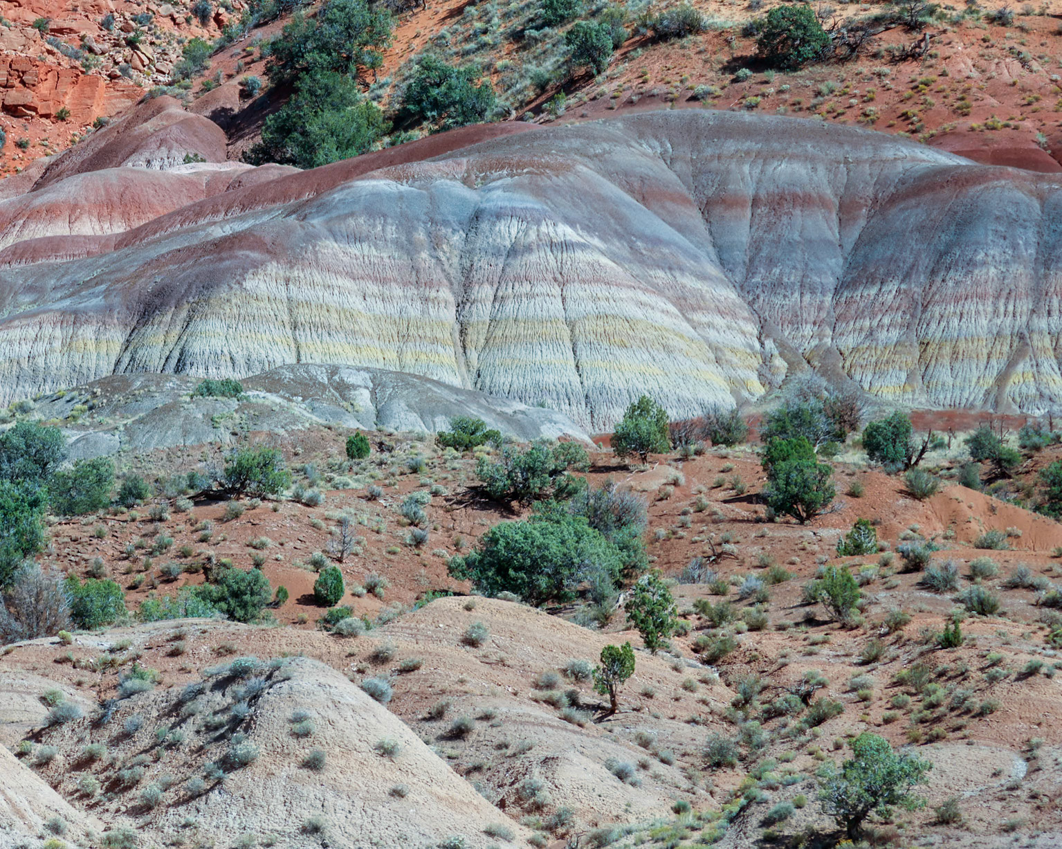 House Rock Valley Road, AZ UT
