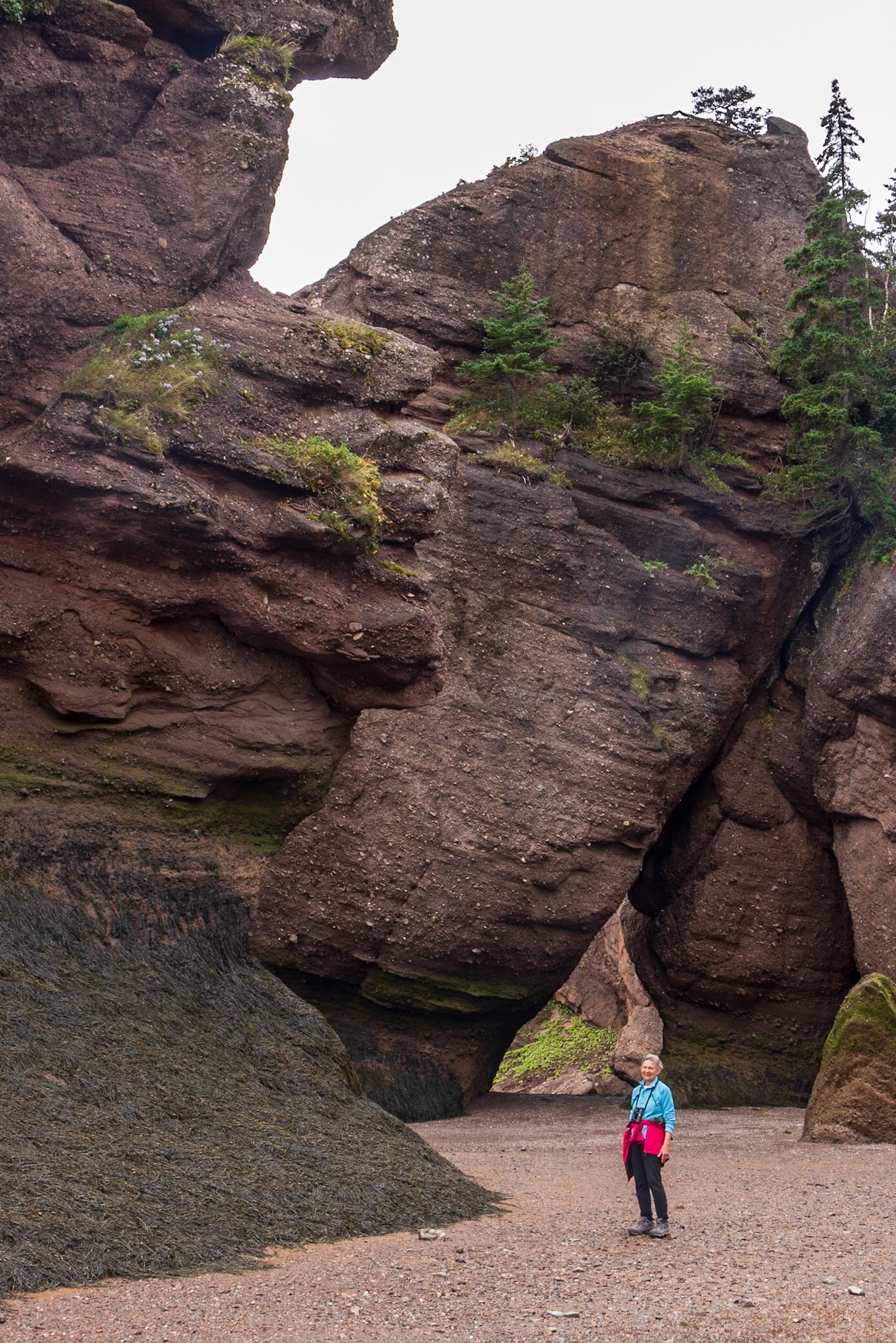 Hopewell Rocks PP, New Brunswick