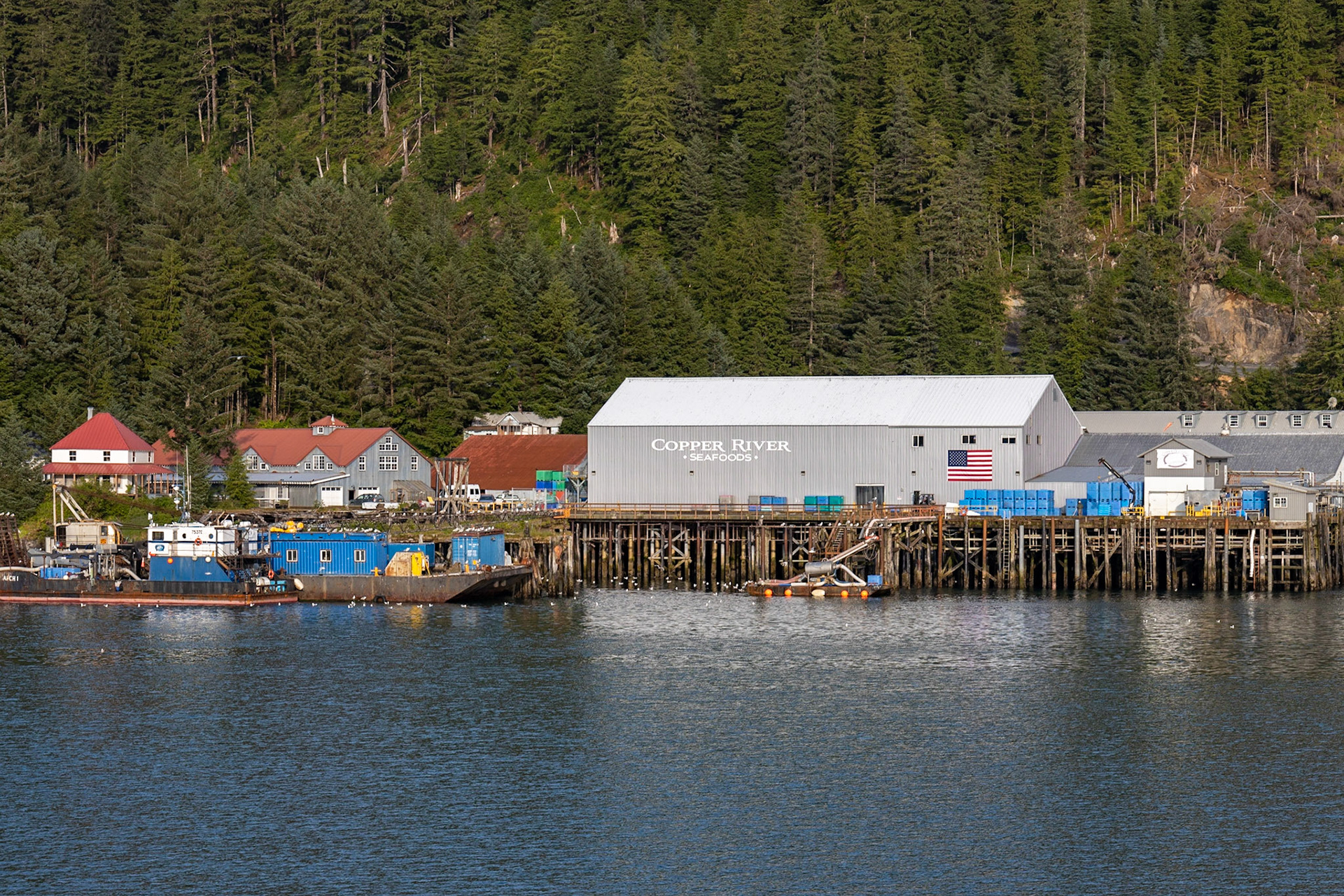 Auroa Ferry to Cordova AK