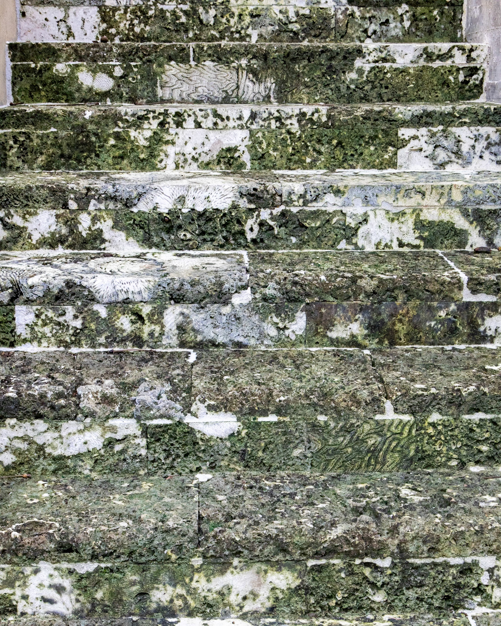 The Kampong, Coral Gables FL