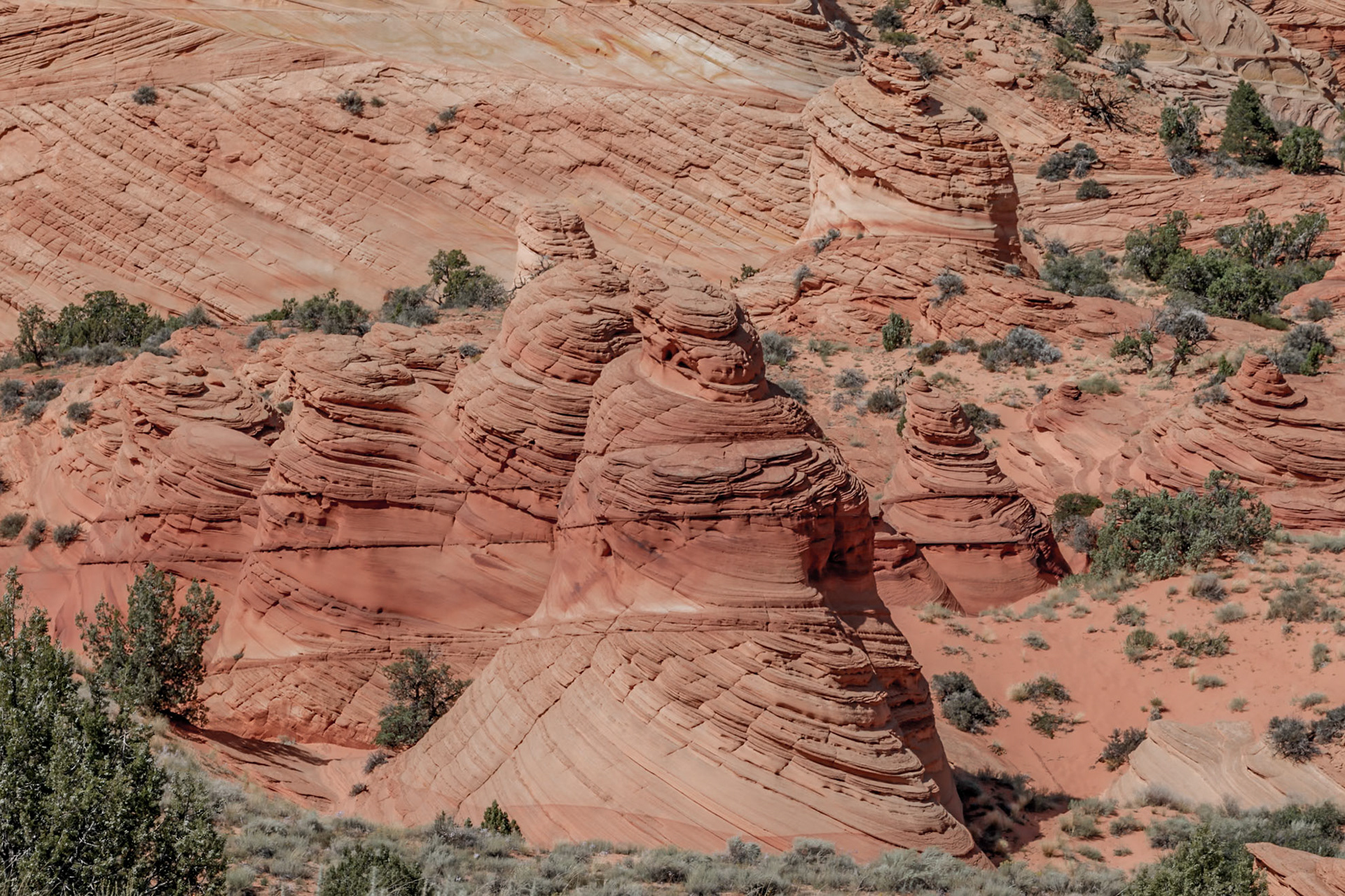 House Rock Valley Road, AZ UT