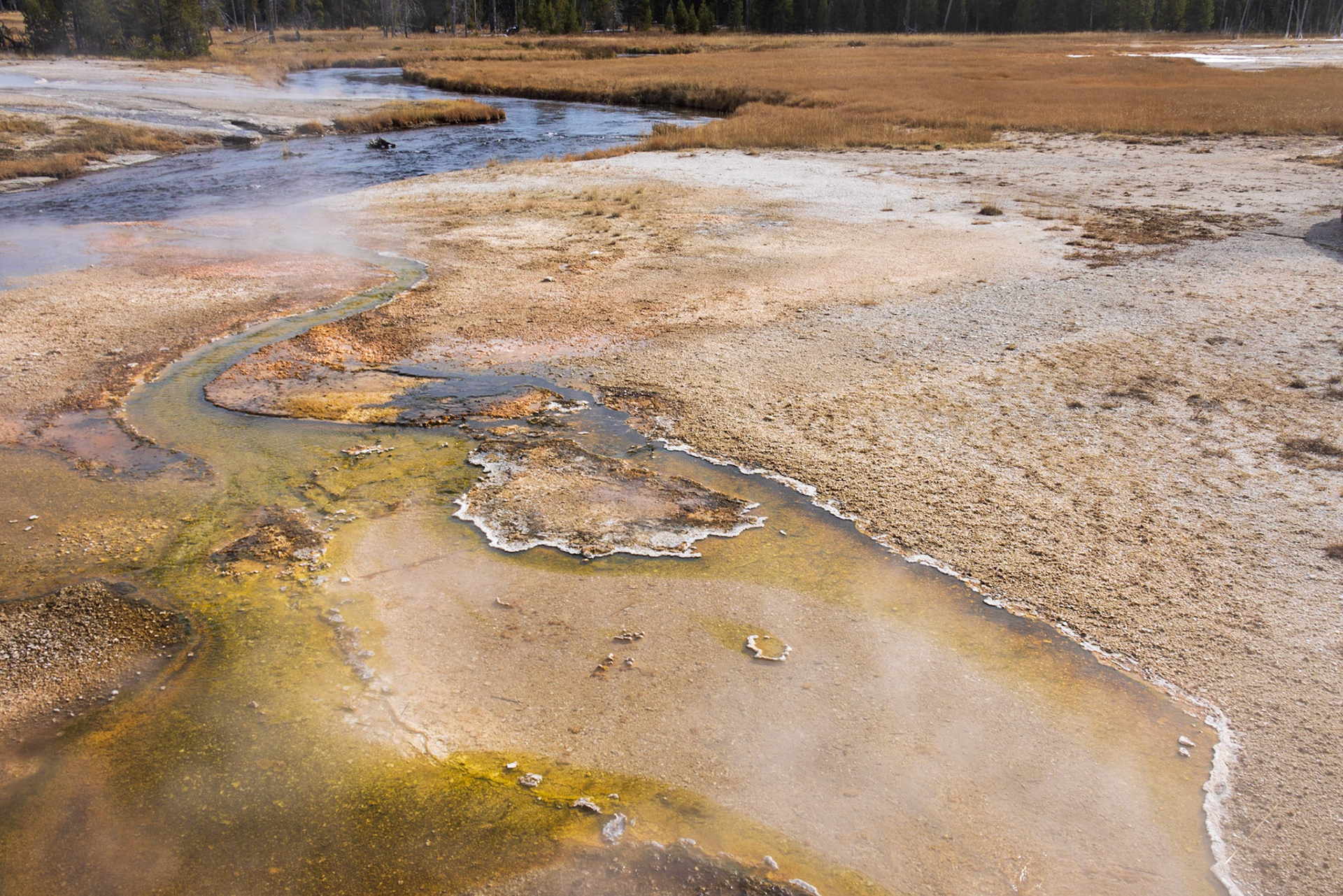 Black Sand Basin Yellowstone NP WY