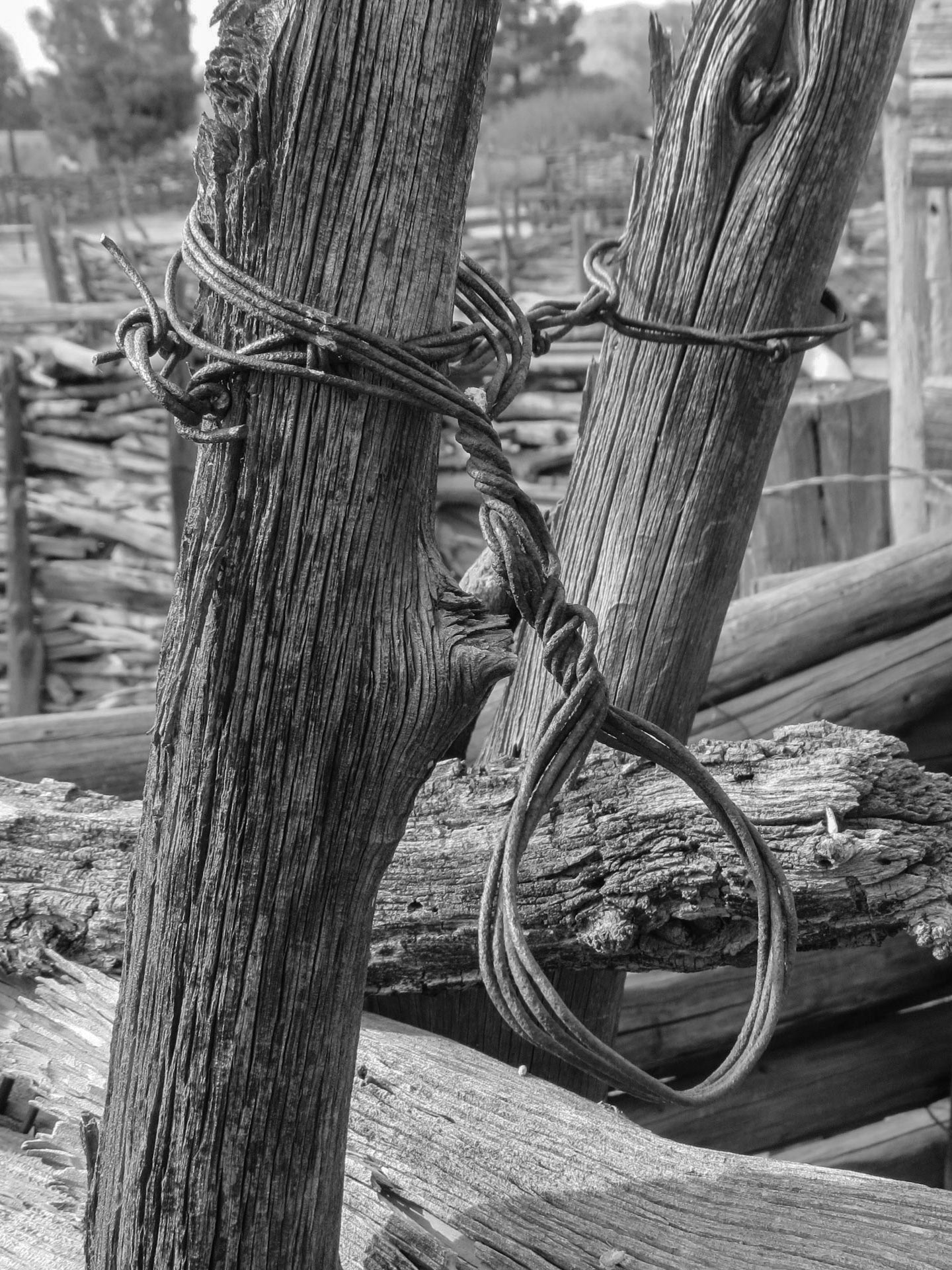 Bellota Ranch, Tanque Verde AZ